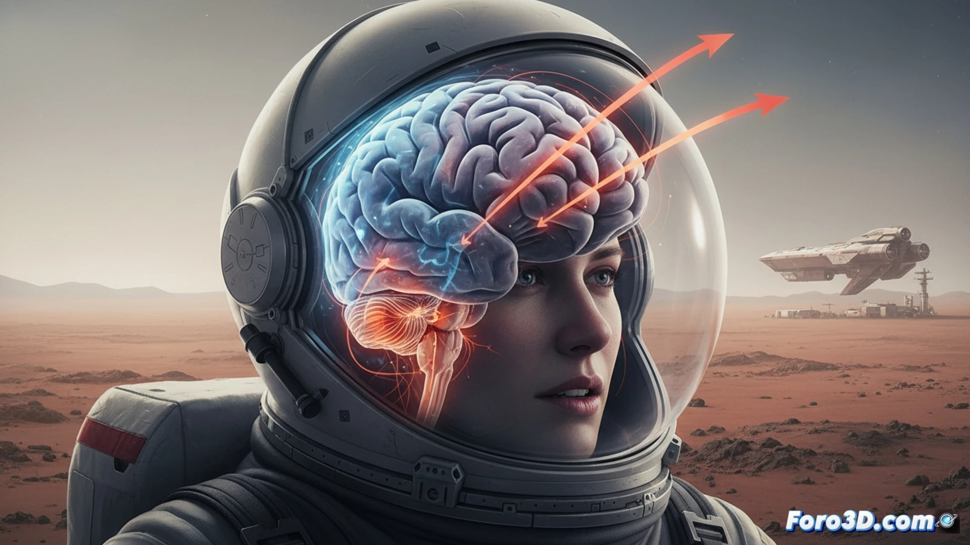 Reconstrucción 3D de un cerebro humano mostrando desplazamientos en microgravedad, basada en datos de resonancia magnética.