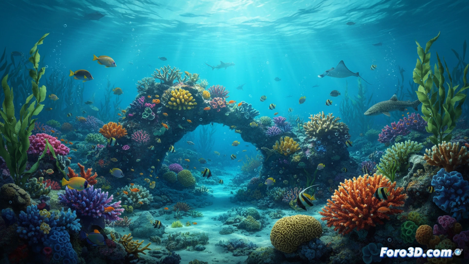 Arrecife coralino vibrante bajo aguas turquesas, con corrientes frías rodeando las Islas Houtman Abrolhos bajo un sol radiante.