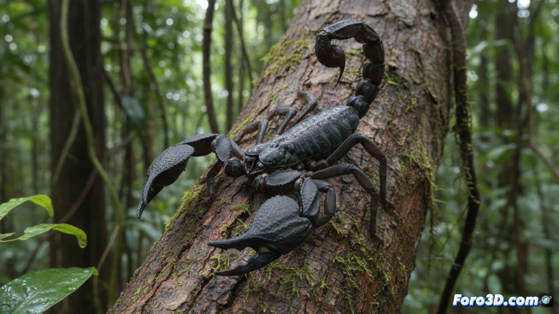 Escorpión de corteza gigante: modelado 3D de la nueva especie 2024