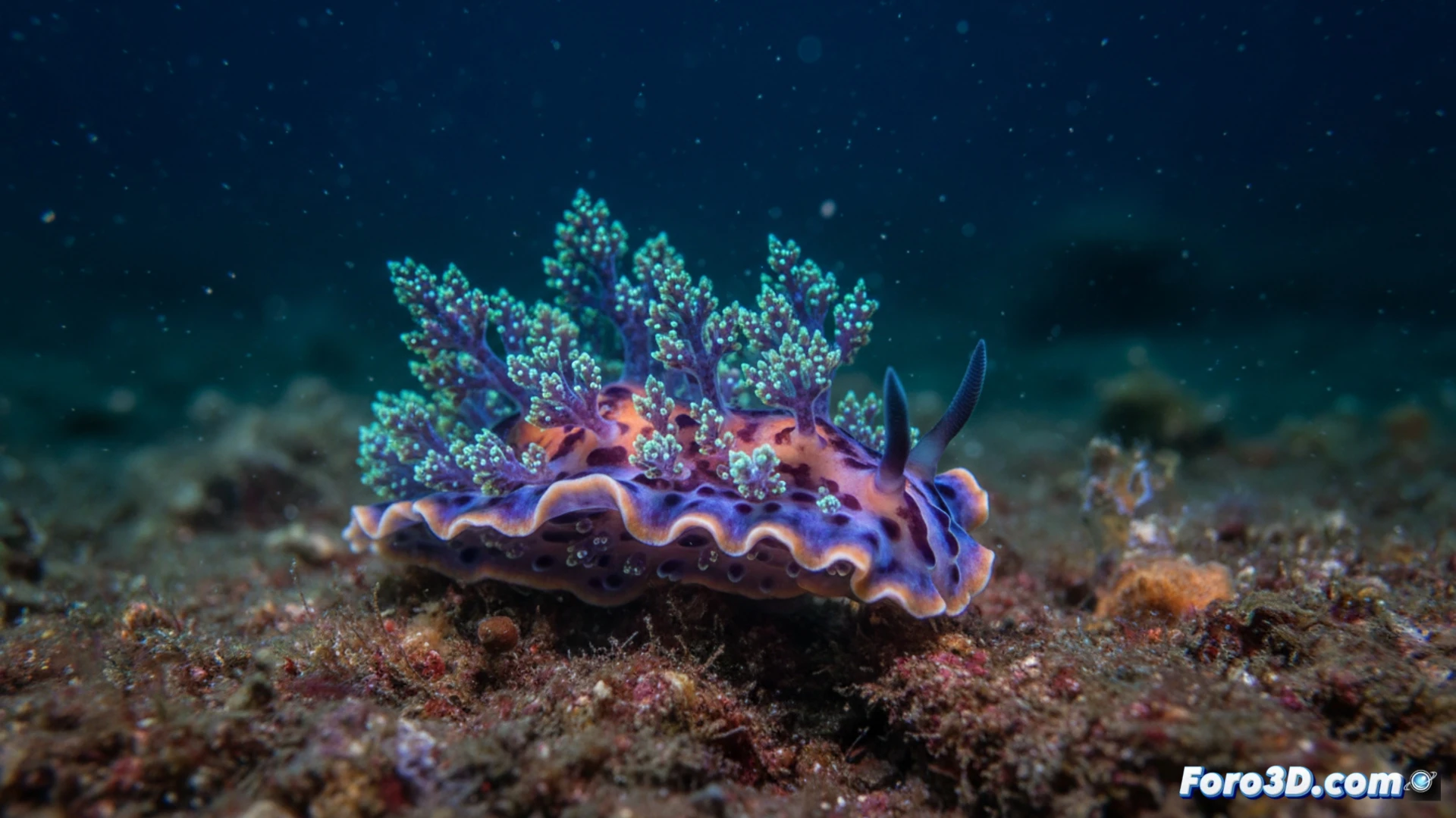 La babosa de Guam que parece un árbol andante