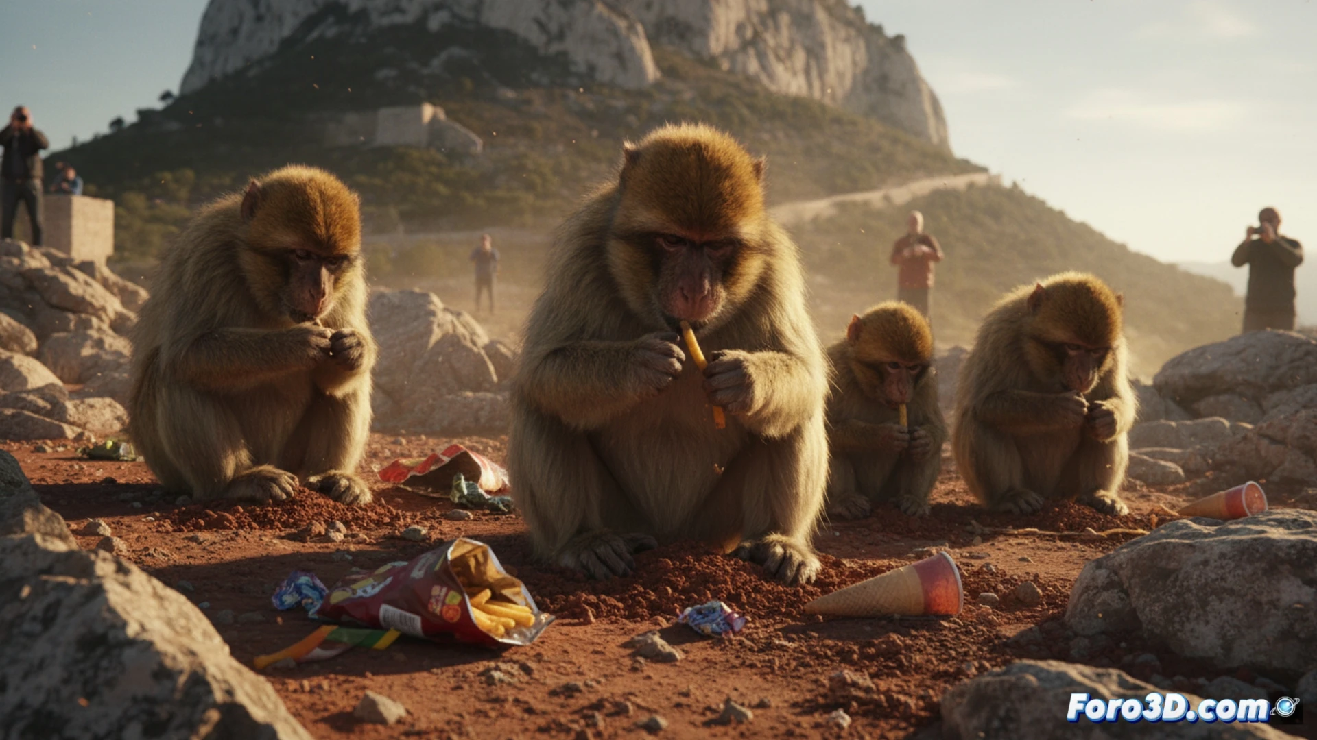 Macaco de Berbería en Gibraltar, de pie sobre rocas, come tierra rojiza cerca de restos de patatas fritas y dulces turísticos.