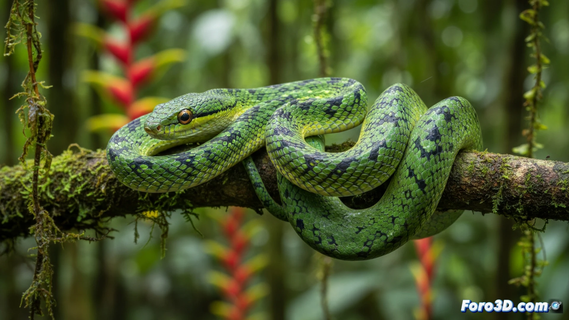 Modelado 3D de la nueva serpiente arbórea de Papúa Nueva Guinea