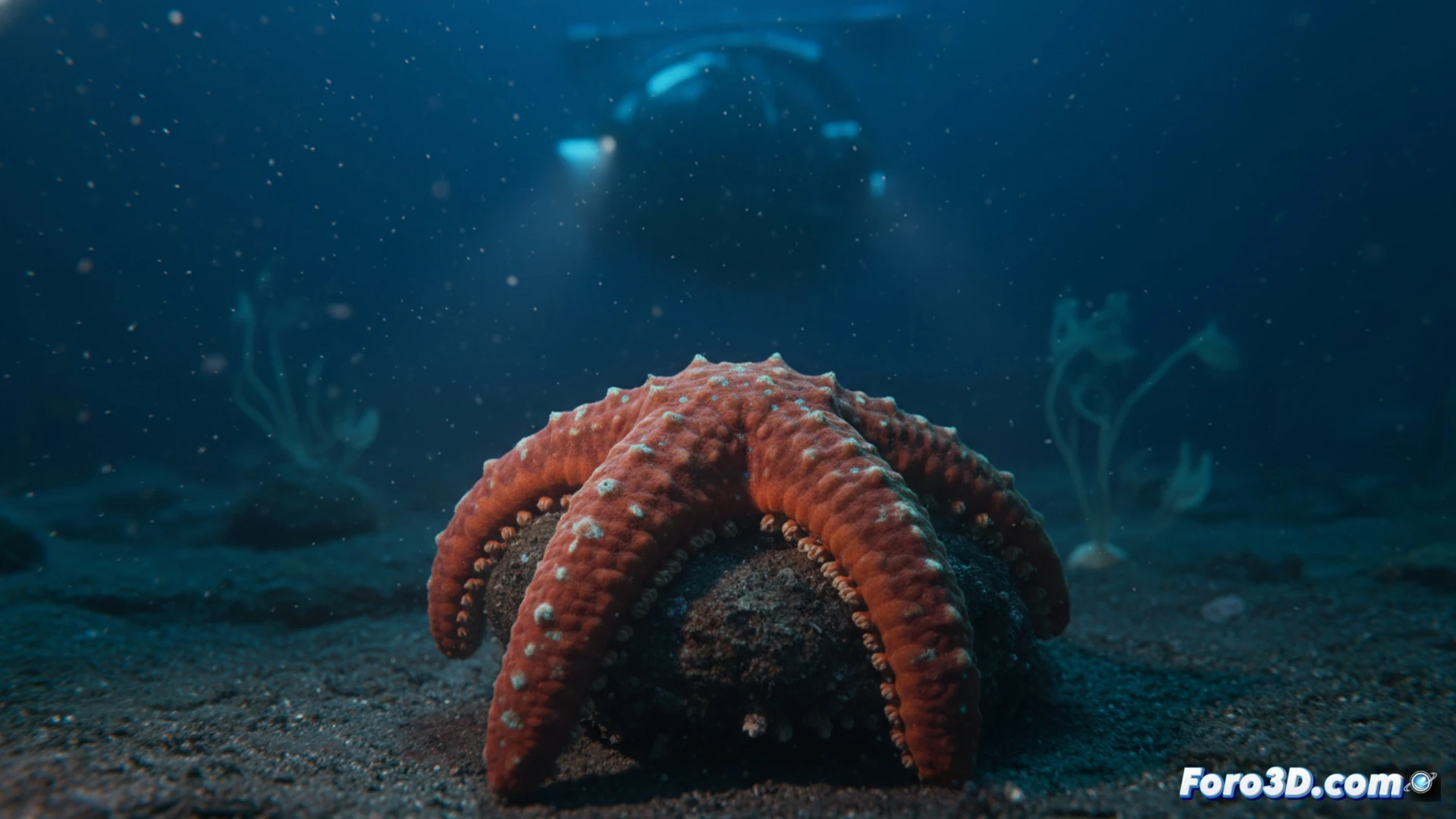 Modelado 3D de Tylaster sp.: nueva estrella abisal