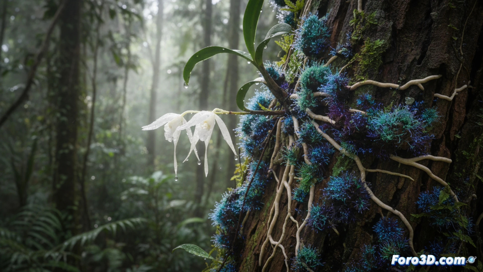 Orquídea fantasma de Madagascar: modelado 3D de una simbiosis extrema