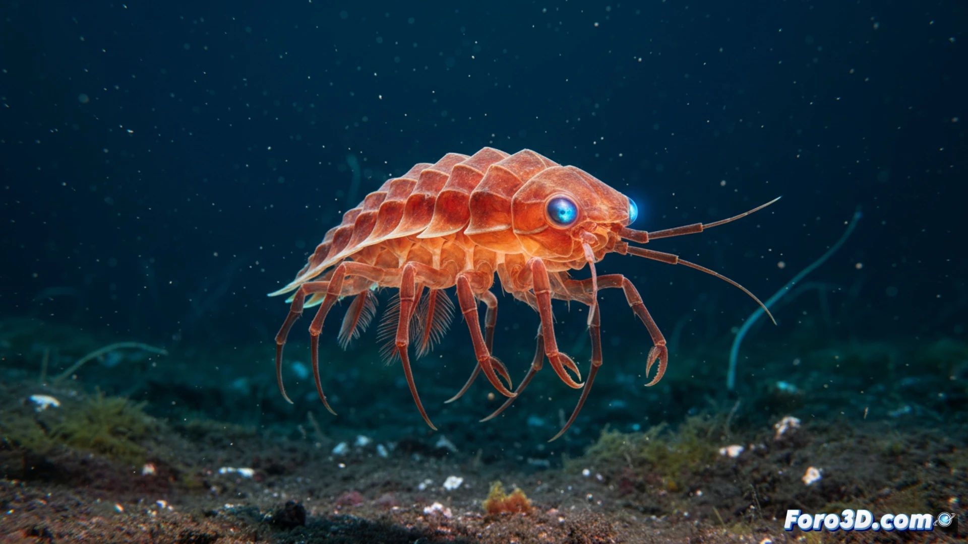 Thrombasia ania: modelado 3D de un anfípodo abisal de 2024