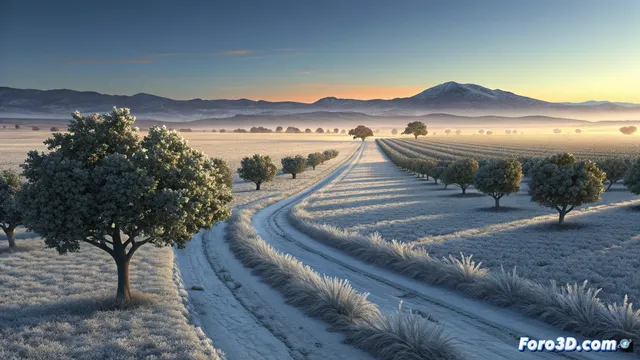 Una masa de aire frío intensifica las heladas en la región de Murcia