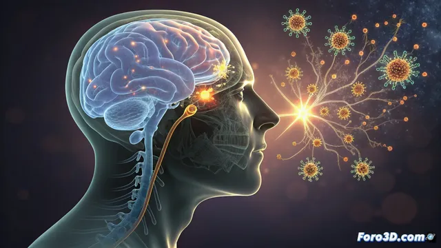 Un atajo nasal activa defensas cerebrales contra el glioblastoma