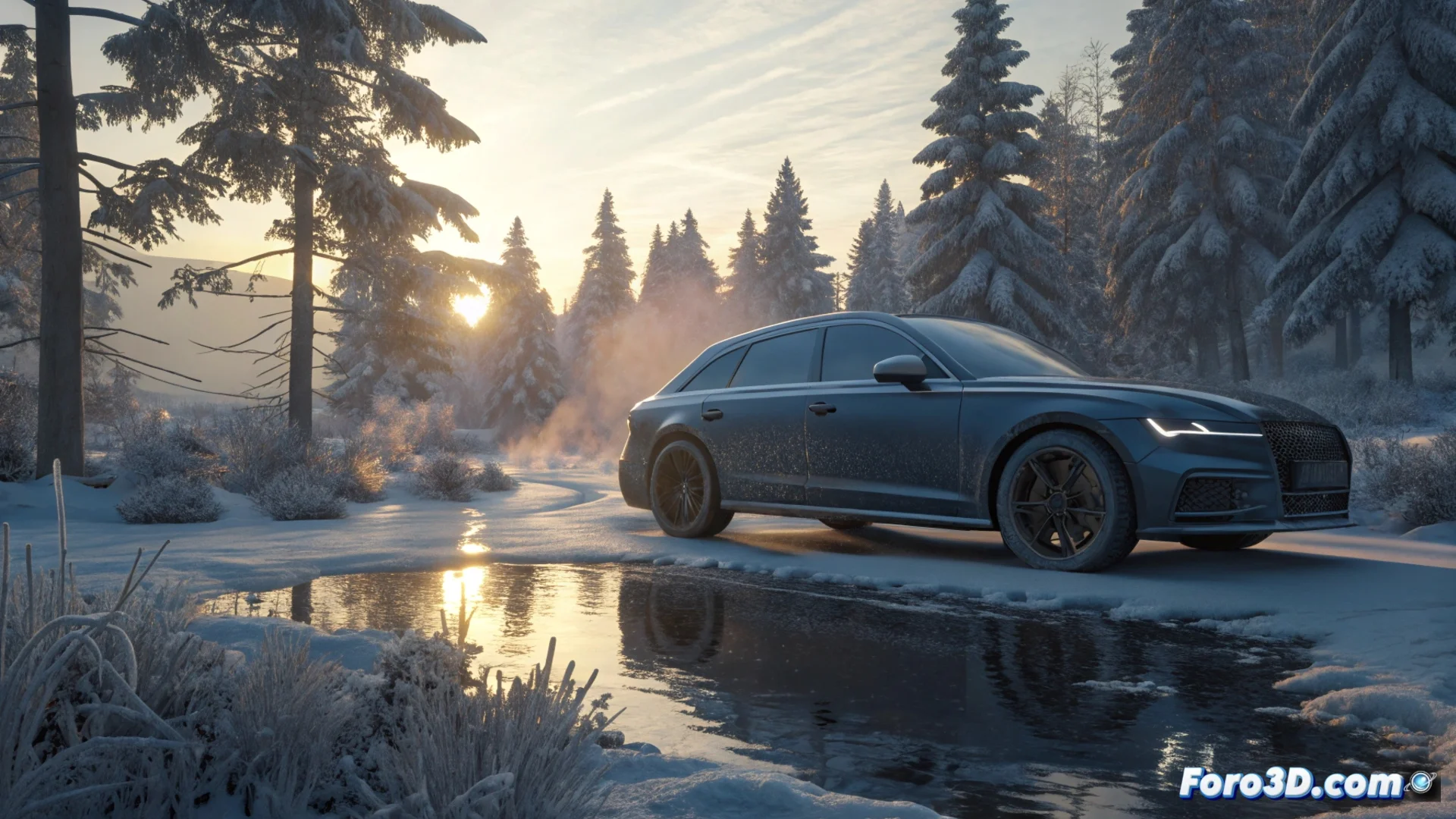 Caring for a Diesel Car in Winter Requires Specific Attention