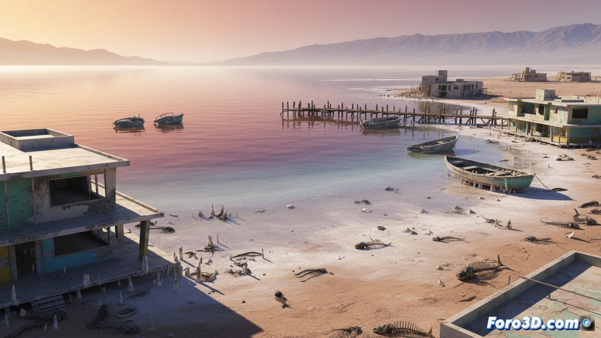 The Salton Sea: From Accident to Modern Ruin