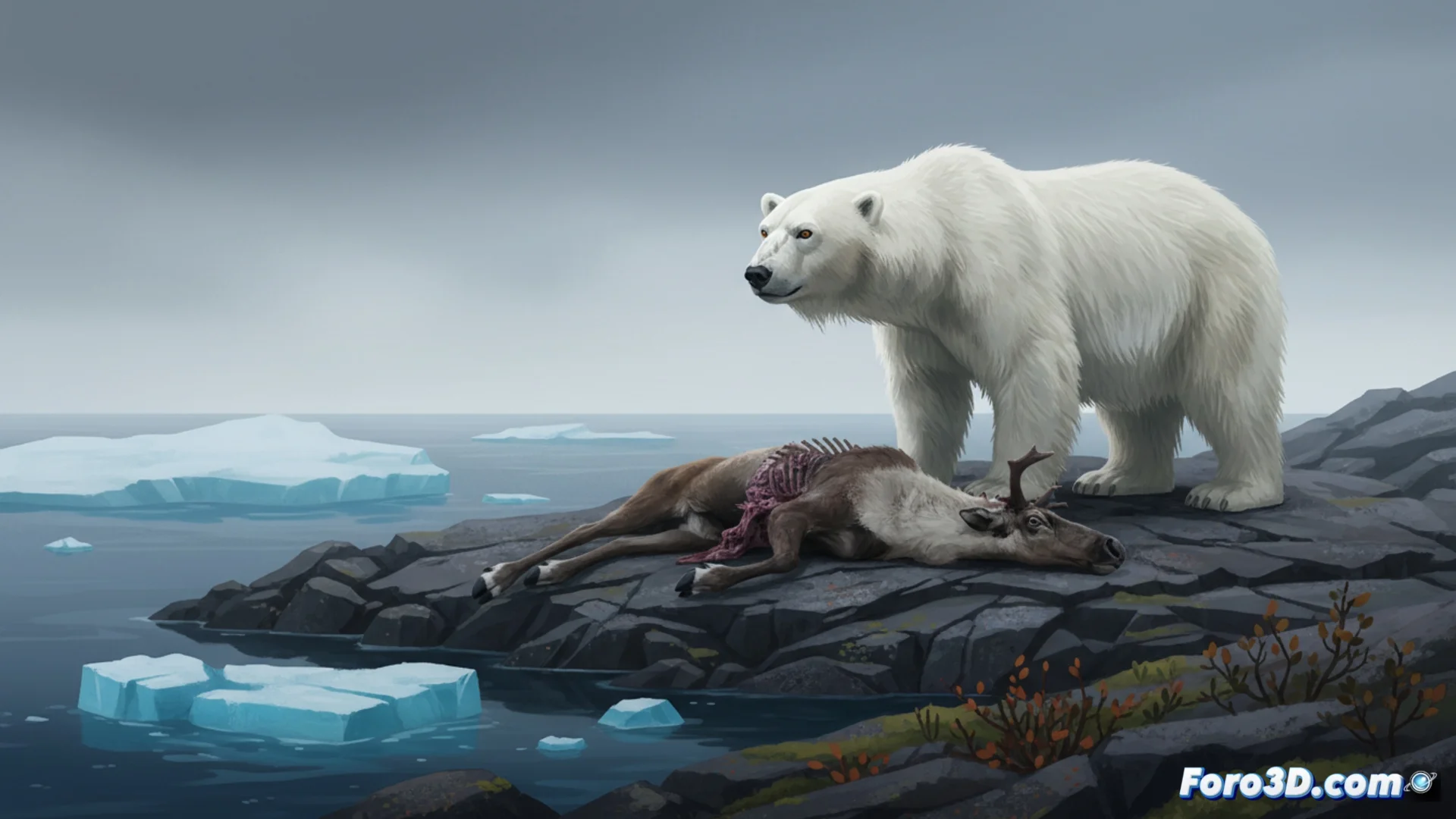 Svalbard's polar bears improve physical condition despite ice loss