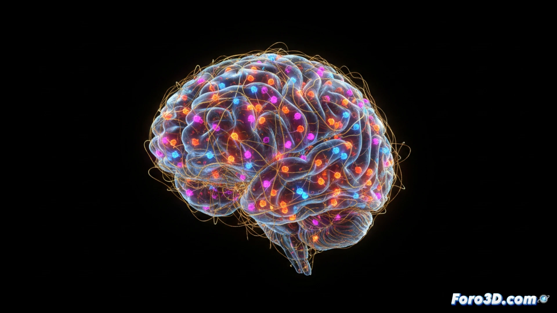 Visualización en 3D del conectoma cerebral completo de una larva de mosca de la fruta, mostrando una densa red de neuronas interconectadas con colores que diferencian tipos y rutas.