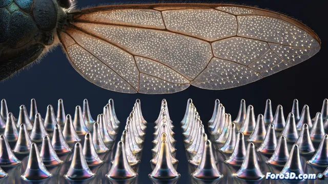 La cigarra inspira pantallas sin brillos gracias a su nanoestructura