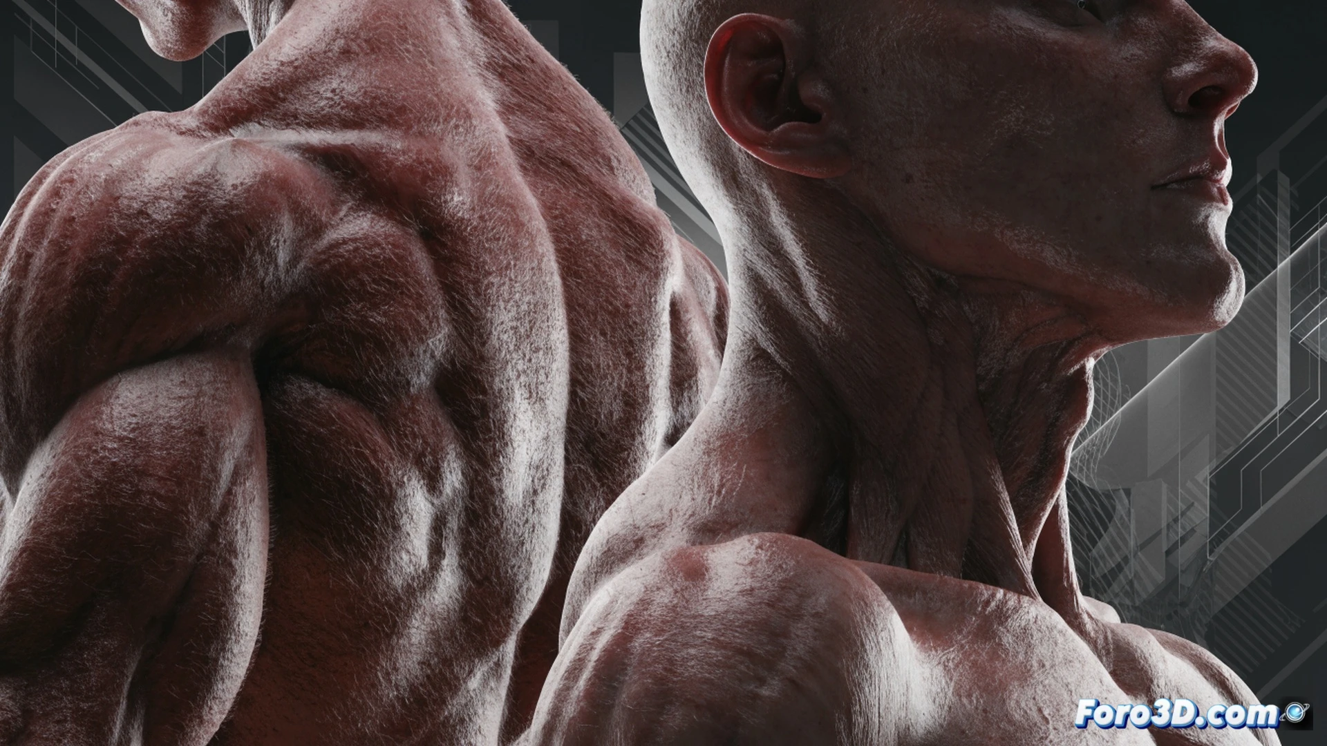 photorealistic cinematic scene of a muscular digital human torso being animated with real-time muscle deformation, glowing blue wireframe overlay on skin showing AI-driven simulation process, translucent layers revealing fascia and muscle fibers contracting during movement, a 3D software interface floating beside the body with motion curves and skeletal rig controls, cinematic lighting with rim lights accentuating muscle definition, dark studio background with subtle grid lines, technical illustration style, ultra-detailed skin pores and subsurface scattering, dynamic pose showing bicep flexion and abdominal tension, holographic transfer tool projecting muscle data from one body to another, dramatic volumetric lighting, high-contrast shadows, 8k quality render