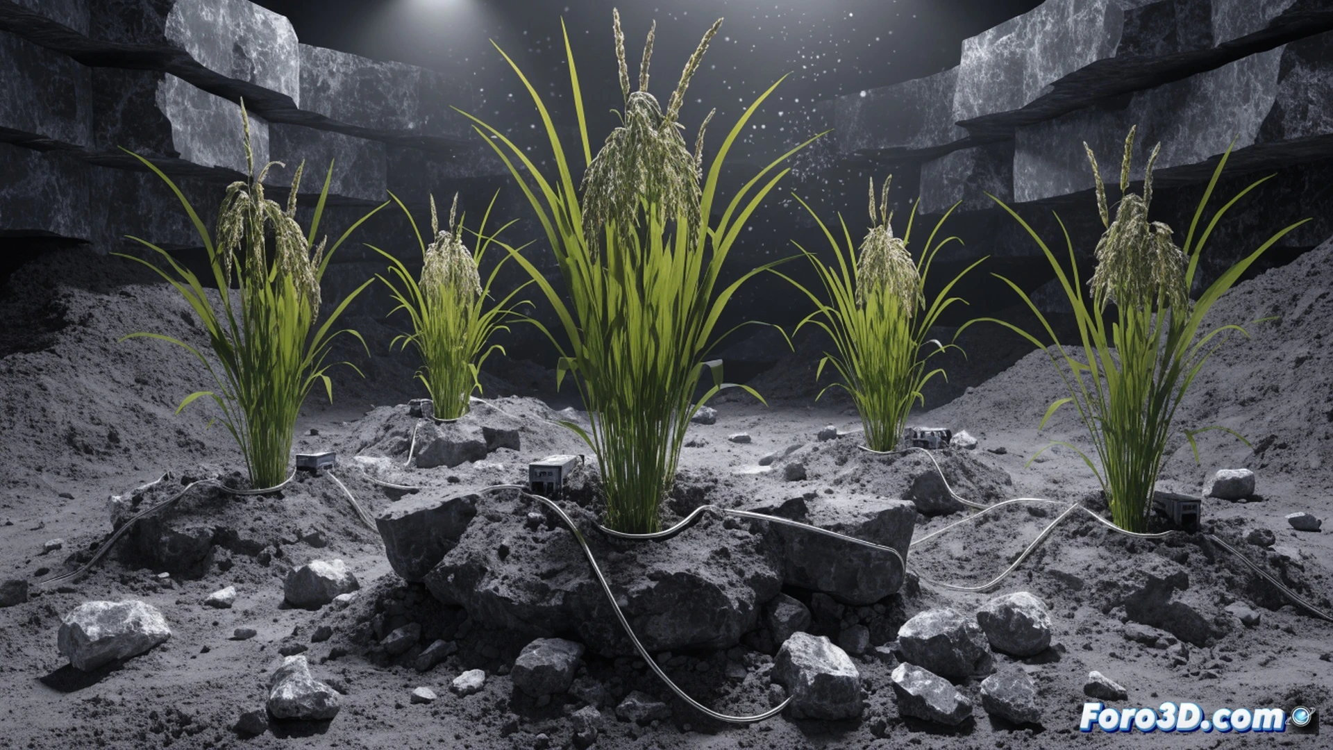 Arroz lunar: el cultivo que crece con aire, agua y electricidad