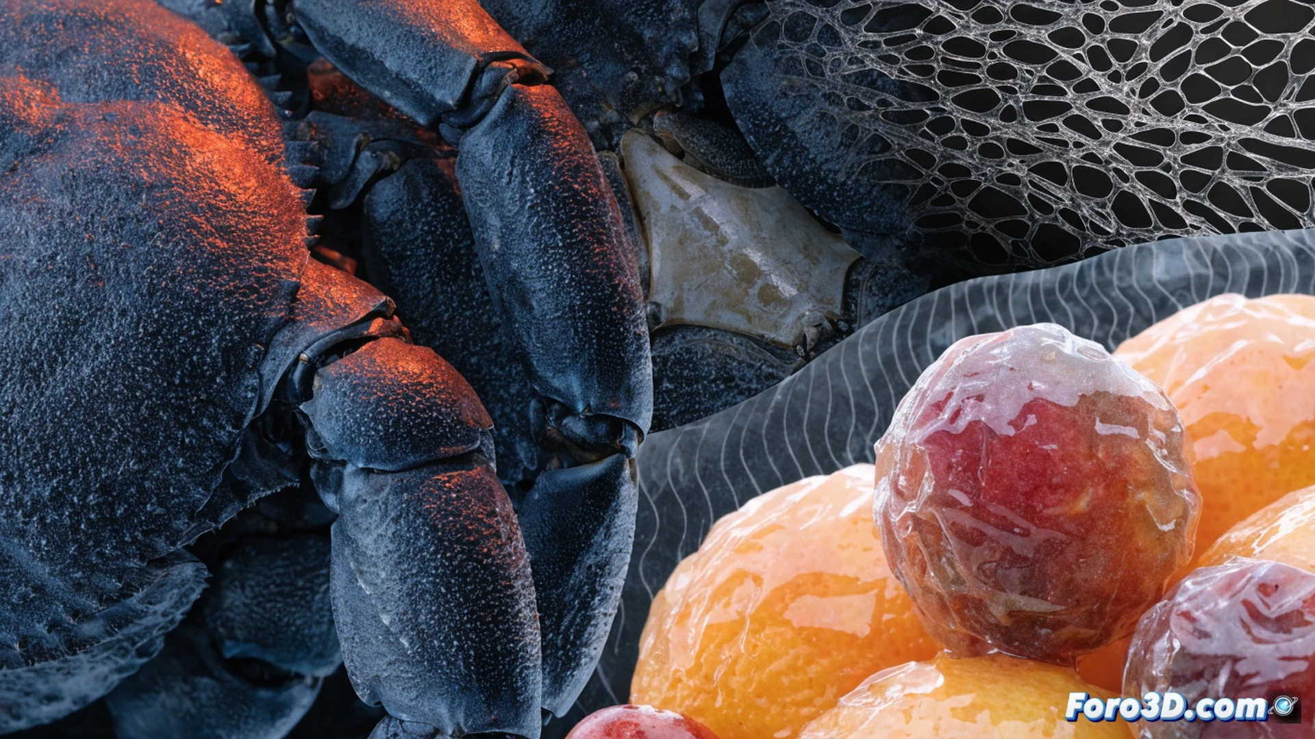 freshly harvested apple being sprayed with a thin translucent quitosano film from a precision nozzle, droplets forming a uniform coating on the fruit surface, cross-section view showing the molecular barrier layer slowing water loss and oxygen penetration, crustacean shell fragments and chitin extraction vials in background, laboratory setting with beakers and pipettes, soft natural side lighting, photorealistic technical illustration, macro detail of the coating meniscus, steam-like moisture evaporation effect, sustainable food packaging concept, cinematic depth of field