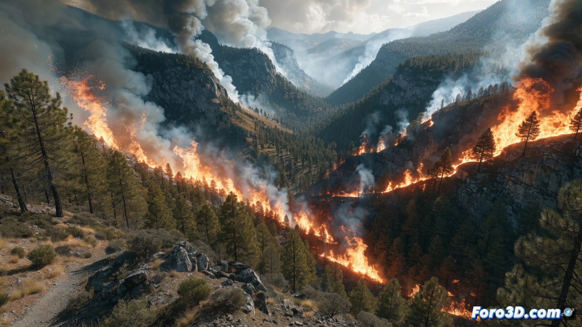 Fuego en Alcubierre: 2.800 hectáreas de pinar arden sin control en Leciñena