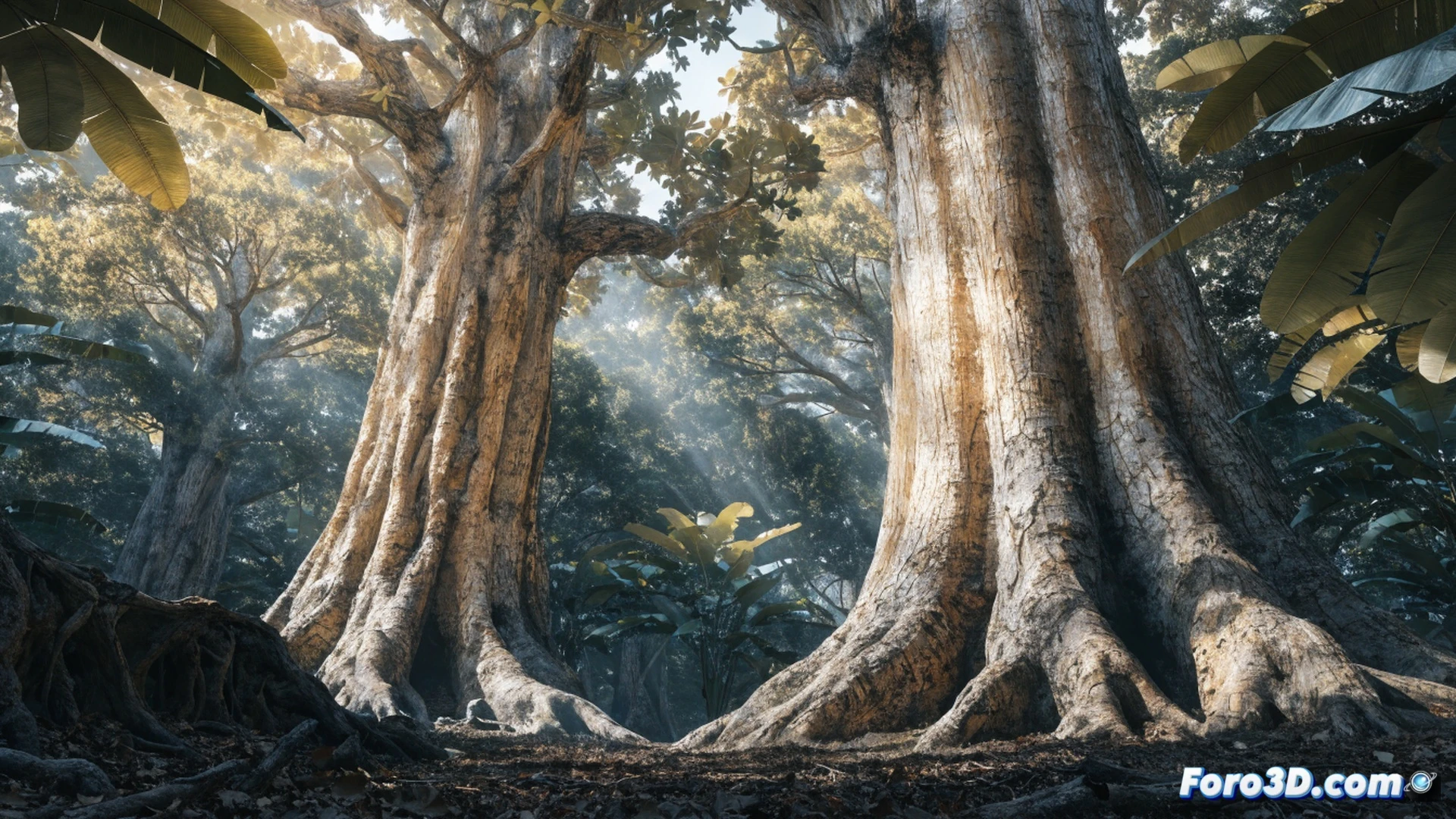 Aerial view of Borneo rainforest canopy, massive 71-meter tree towering above smaller trees, cross-section diagram showing wide xylem vessels inside trunk, sunlight filtering through drought-tolerant leaves, roots drawing water from dry soil, carbon storage process visualized with glowing particles flowing upward, cinematic photorealistic technical illustration, dramatic jungle lighting, misty atmosphere, ultra-detailed bark texture, scientific visualization style, no text or labels in image
