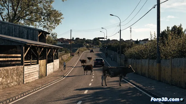 La vía pecuaria de Perales del Río podría tener doble sentido