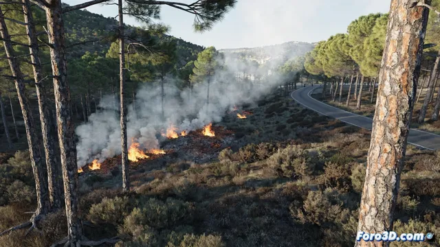 Quemas preventivas en Almadén para proteger los Pinos y el paseo de Ronda
