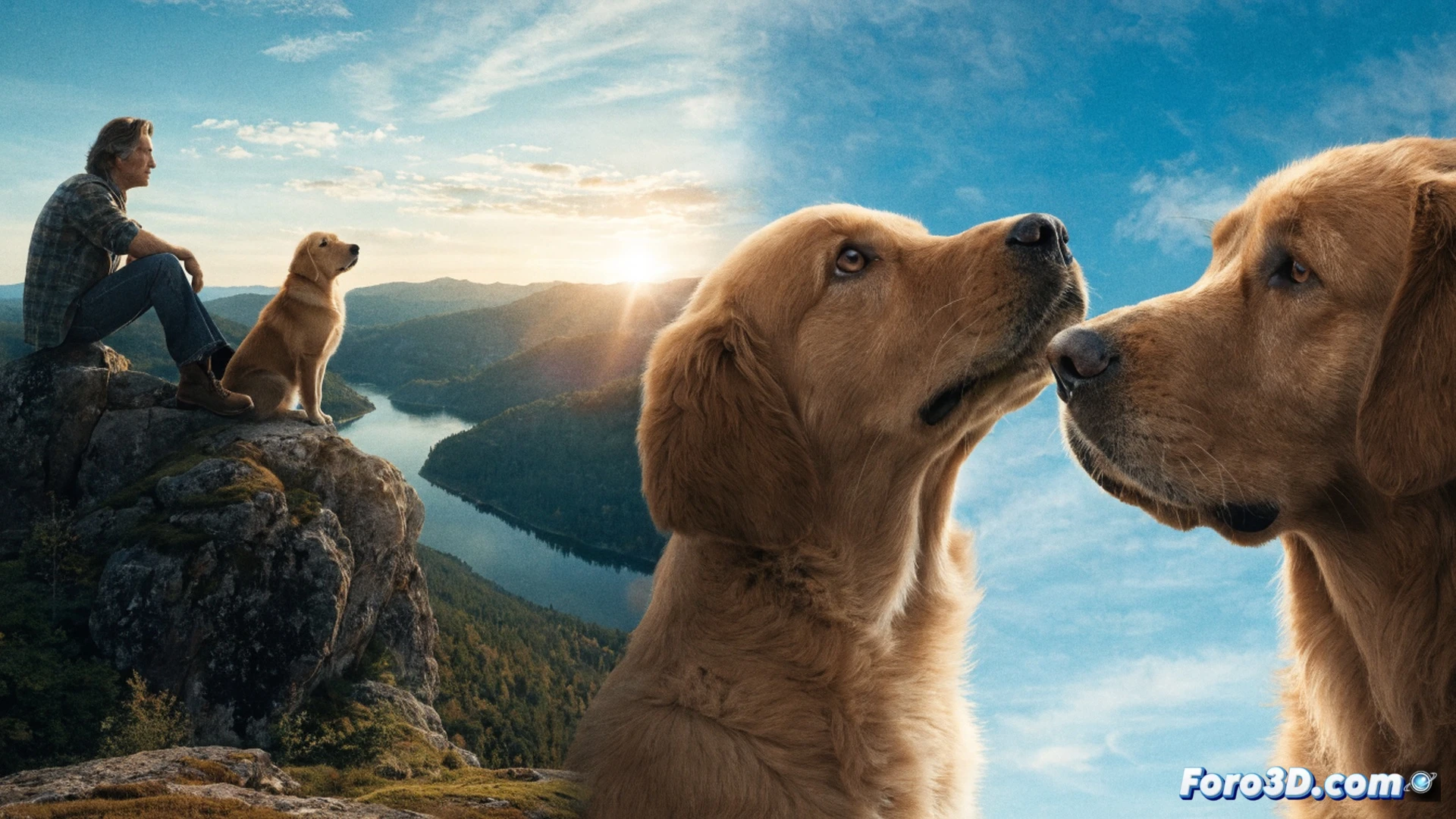 golden retriever dog transitioning between glowing life stages, soul essence floating upward while new puppy body forms below, etherial reincarnation cycle demonstrated across multiple timeline panels, human hand reaching down toward dog paw silhouette, cinematic emotional visualization, warm sunset lighting, soft fur textures, mystical particles swirling around canine spirit, photorealistic animal anatomy, dreamy lens flare, heartwarming connection between species, ultra-detailed fur and eye reflections, dramatic golden hour atmosphere