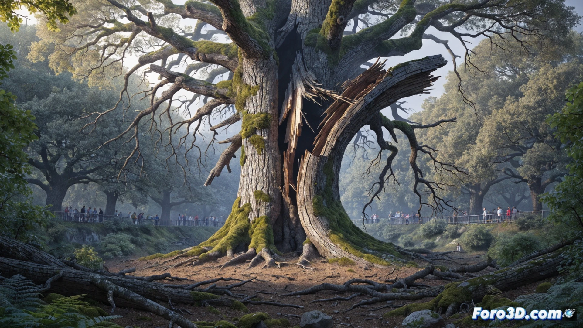 ancient oak tree trunk splitting slowly at the base, soil erosion exposing gnarled roots while a park ranger measures ground compaction with a soil penetrometer, tourists standing behind a wooden barrier watching, climate monitoring sensor attached to a lower branch, cinematic photorealistic environmental documentation style, soft overcast forest light filtering through remaining leaves, cracked bark textures, subtle moss growth on fallen branches, dramatic mood of decay and legacy