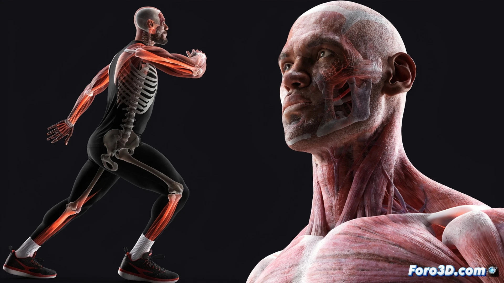LeBron James en acción de salto para un mate, modelo 3D semitransparente del esqueleto y fibras musculares visibles durante el movimiento, líneas de fuerza biomecánica trazadas desde el tobillo hasta el hombro, software de análisis deportivo con gráficos de velocidad y torque en pantallas holográficas flotantes, fondo de cancha de baloncesto iluminada con focos, estilo cinematic technical illustration, photorealistic render, iluminación dramática de estudio, texturas metálicas y orgánicas detalladas, sombras nítidas, alta definición.