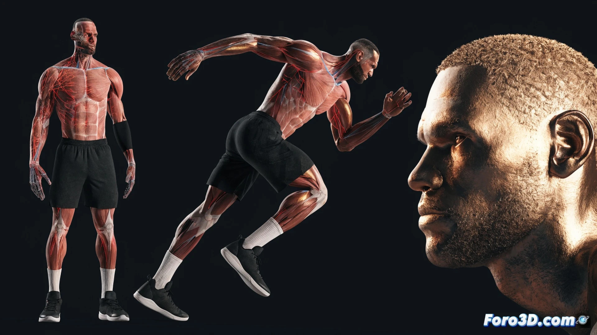 Lebron James en pleno salto de triple amenaza biomecánica, modelo 3D semitransparente mostrando esqueleto y fibras musculares iluminadas, líneas de fuerza vectorial desde pies hasta manos durante aceleración, gráficos de torque articular en rodillas y hombros, fondo oscuro con malla de datos cinéticos, visualización técnica de ingeniería deportiva, render fotorrealista con iluminación dramática de estudio, texturas metálicas en las articulaciones simuladas, trayectorias de movimiento con trazos de velocidad y ángulos de impulso, escena congelada en el pico del esfuerzo