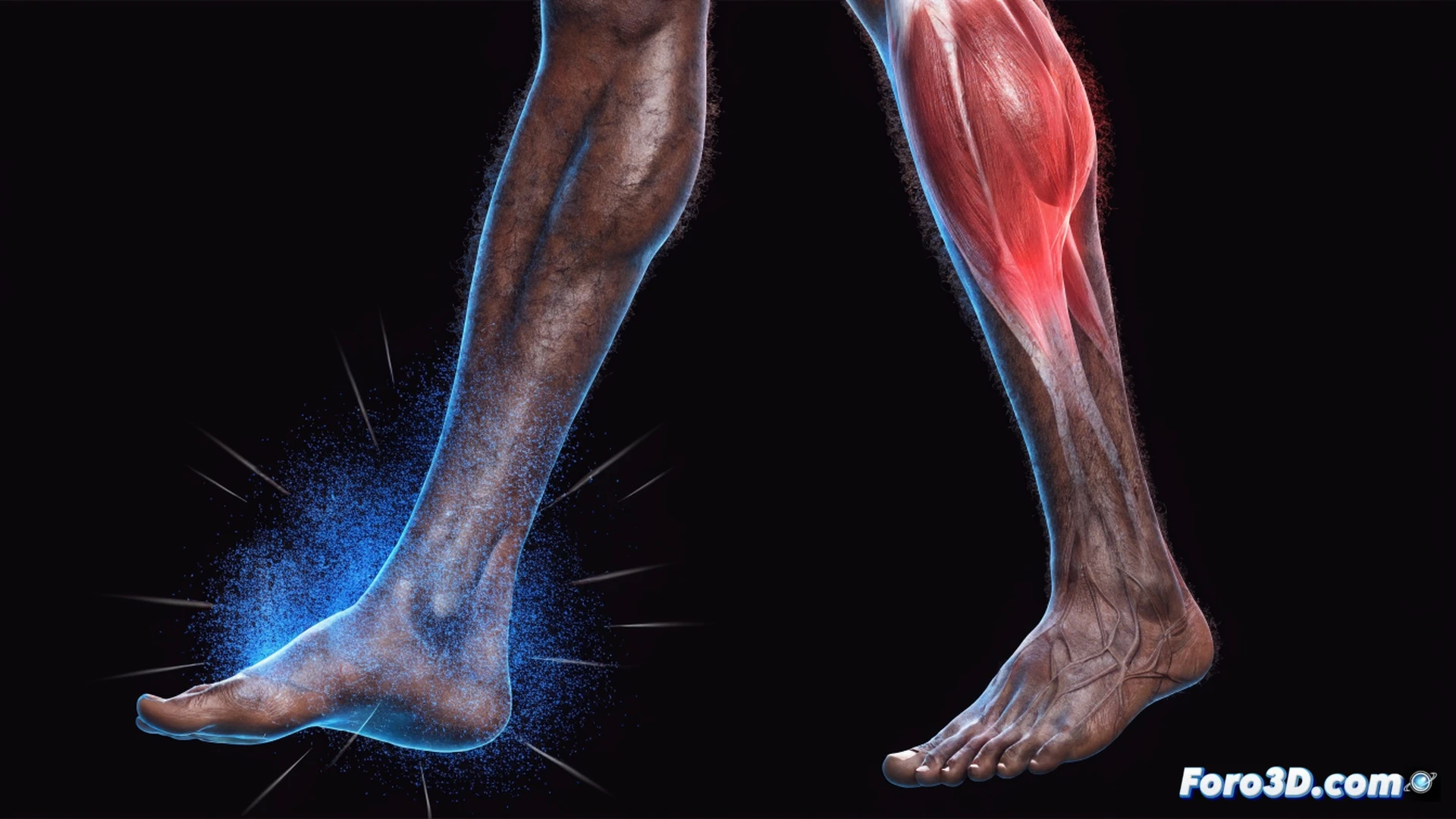 Cinematic 3D biomechanical analysis of a footballer sprinting with explosive acceleration, low center of gravity highlighted by glowing skeletal overlay, fascias and muscle fibers strained along the hamstring, translucent digital screen showing 3D wireframe leg model with stress heatmap during rapid change of direction, dynamic motion blur on turf, high-contrast studio lighting, photorealistic technical illustration, engineering visualization style, ultra-detailed muscle anatomy, no text or numbers visible