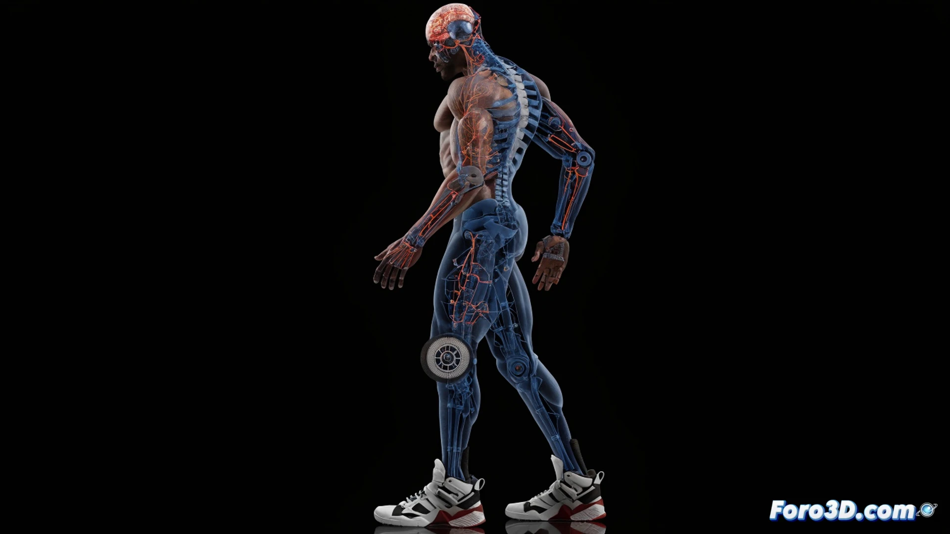 3D biomechanical analysis of Al Horford in defensive stance, center of gravity highlighted as a glowing orange sphere low in his hips, wide stride angle measured with digital protractor overlays, arm span extending to block a guard while anchoring against a center, translucent skeletal wireframe showing joint torque, basketball court underlay with motion capture markers, cinematic engineering visualization, blue and red heatmap gradients on muscles, photorealistic technical illustration, dramatic arena lighting, depth of field on kinetic chain