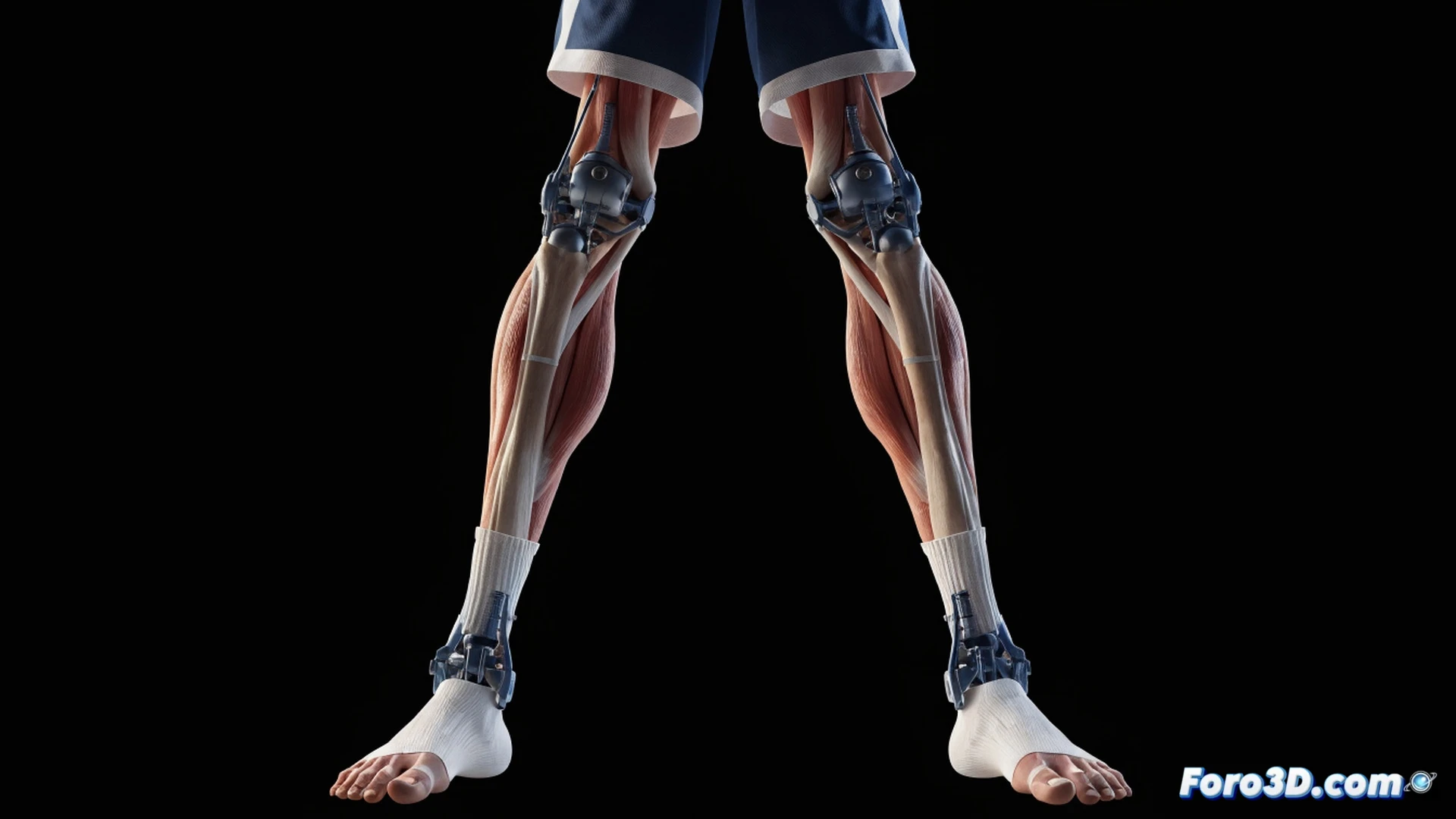 basketball player skeleton transparent 3D scan, Chet Holmgren biomechanical analysis, elongated femur and tibia bones rotating in motion capture simulation, hip joint torque visualized with glowing red arrows during a running stride, ankle ligaments stretching under load, blue wireframe overlay on a hardwood court, engineering visualization software interface showing stress points, dark studio lighting with rim light on bone structure, photorealistic medical illustration style, detailed tendon fiber texture, slow-motion action of foot striking the floor