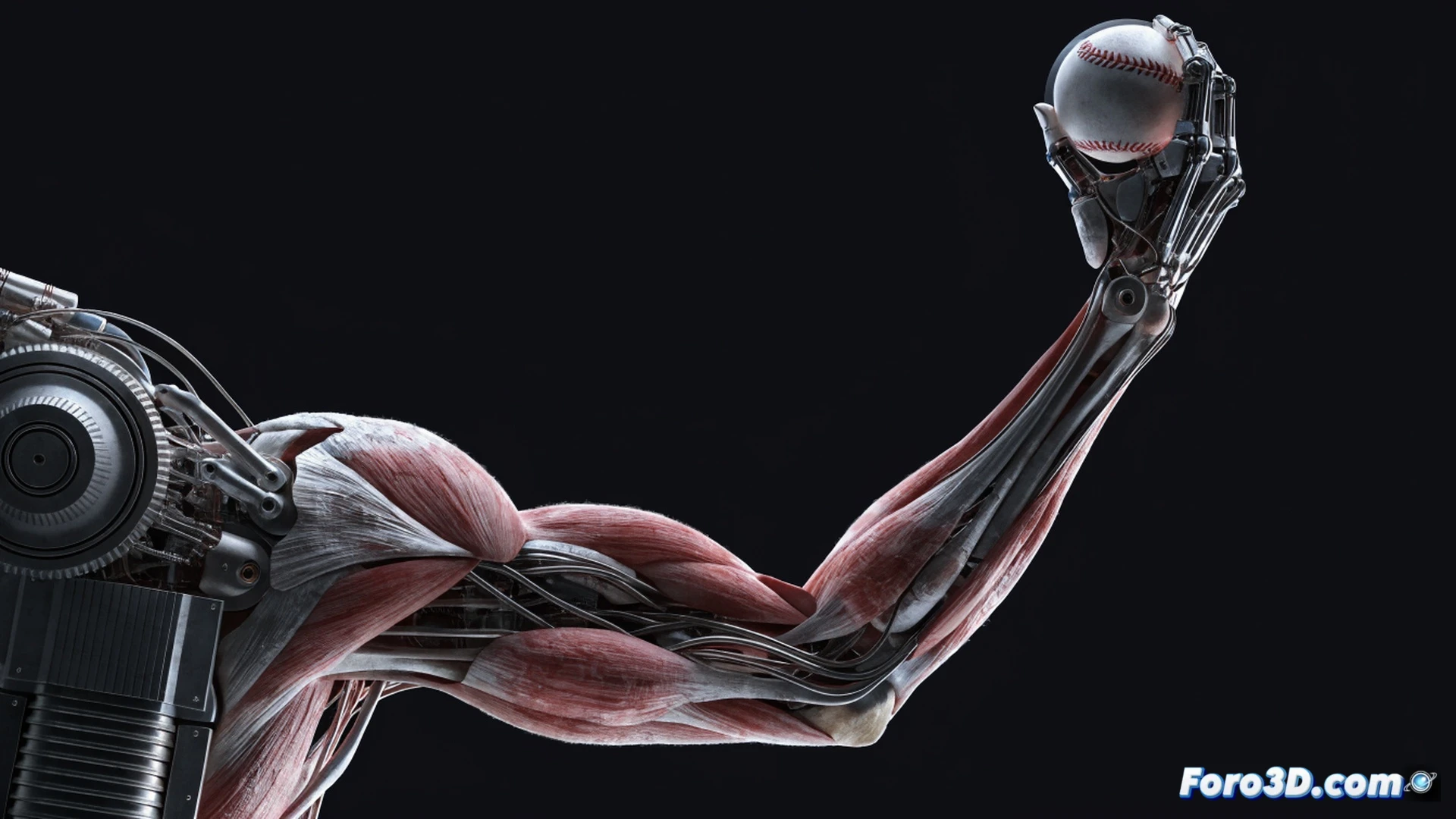 Three-dimensional biomechanical analysis of a cricket fast bowler in mid-delivery stride, left arm braced asymmetrically while right arm releases ball late, skeletal overlay showing joint angles and torque vectors, motion capture markers on limbs, kinetic chain highlighted with glowing orange force lines, transparent muscle layers revealing tendon strain, dark studio background with grid floor, cinematic technical illustration style, ultra-detailed photorealistic render, dramatic side lighting emphasizing muscle tension and bone alignment