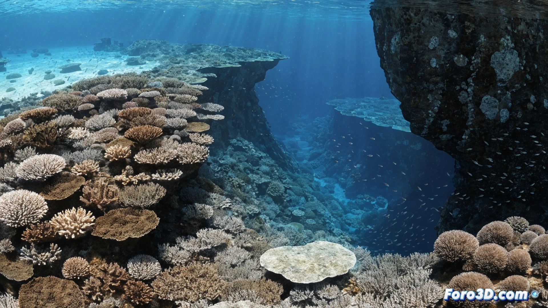 underwater coral reef mapping expedition, 166,000 square kilometers of heat-resistant coral colonies being surveyed by autonomous underwater drones, drones emitting blue scanning lasers across reef structures, coral polyps showing fluorescent resilience markers, research vessel visible on surface above, cinematic photorealistic style, deep ocean lighting with sunbeams penetrating clear water, data streams visualized as glowing particles flowing from drones to ship, dramatic contrast between bleached dead corals in background and vibrant healthy corals in foreground, ultra-detailed coral textures, technical oceanographic visualization