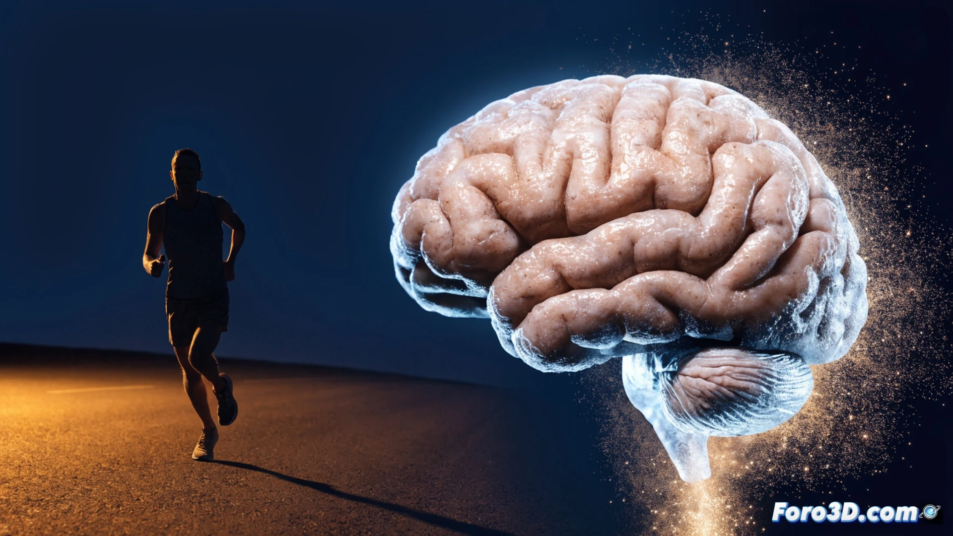 photorealistic technical illustration of a human silhouette running on a treadmill at night, glowing orexin molecules released from hypothalamus region shown as bright orange particles traveling to brain cortex, clock display showing 11 PM, sympathetic nervous system activation visualized as red lightning bolts along spine, cortisol spikes depicted as jagged waveforms on a dark monitor screen beside the treadmill, bedroom visible in background with empty bed and glowing blue sleep tracker, dramatic cinematic lighting with deep shadows, ultra-detailed muscle fibers and neural pathways, futuristic medical visualization style