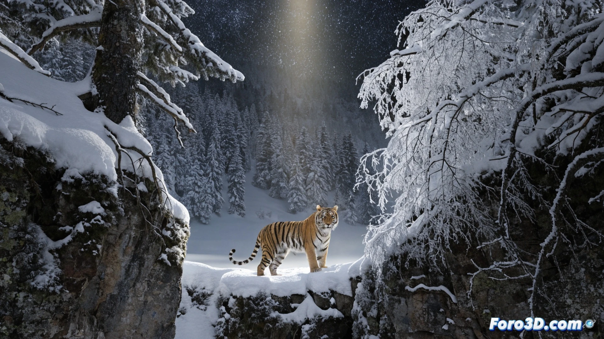 Investigador en chaqueta térmica observando huellas de tigre siberiano en nieve profunda, bosque de abedules del Lejano Oriente ruso, cámara trampa activándose en tronco cercano, binoculares colgando del cuello, cuaderno de campo con anotaciones parcialmente visibles, aliento condensado en aire gélido, luz invernal tamizada entre ramas, huellas frescas marcando dirección hacia un claro, equipo de rastreo GPS en mano, estilo cinematográfico fotorrealista, detalles de textura en corteza y nieve, atmósfera silenciosa y remota, tonos azulados y grises, profundidad de campo enfocando al investigador y las huellas