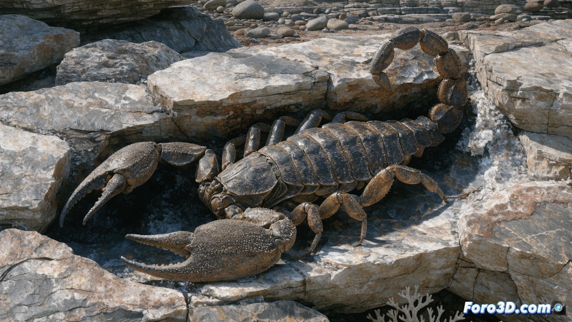 Prehistoric river delta 415 million years ago, giant one-meter-long Praearcturus gigas scorpion emerging from shallow water, massive segmented exoskeleton with curved venomous tail raised mid-strike, pincers grabbing a fish while smaller primitive fish scatter, ancient horsetail plants along muddy banks, dramatic golden sunlight piercing misty Devonian atmosphere, ultra-detailed chitin texture, water droplets on carapace, photorealistic paleontological reconstruction, cinematic natural history documentary lighting, dynamic action scene demonstrating apex predator behavior, deep focus showing riverbed rocks and aquatic plants