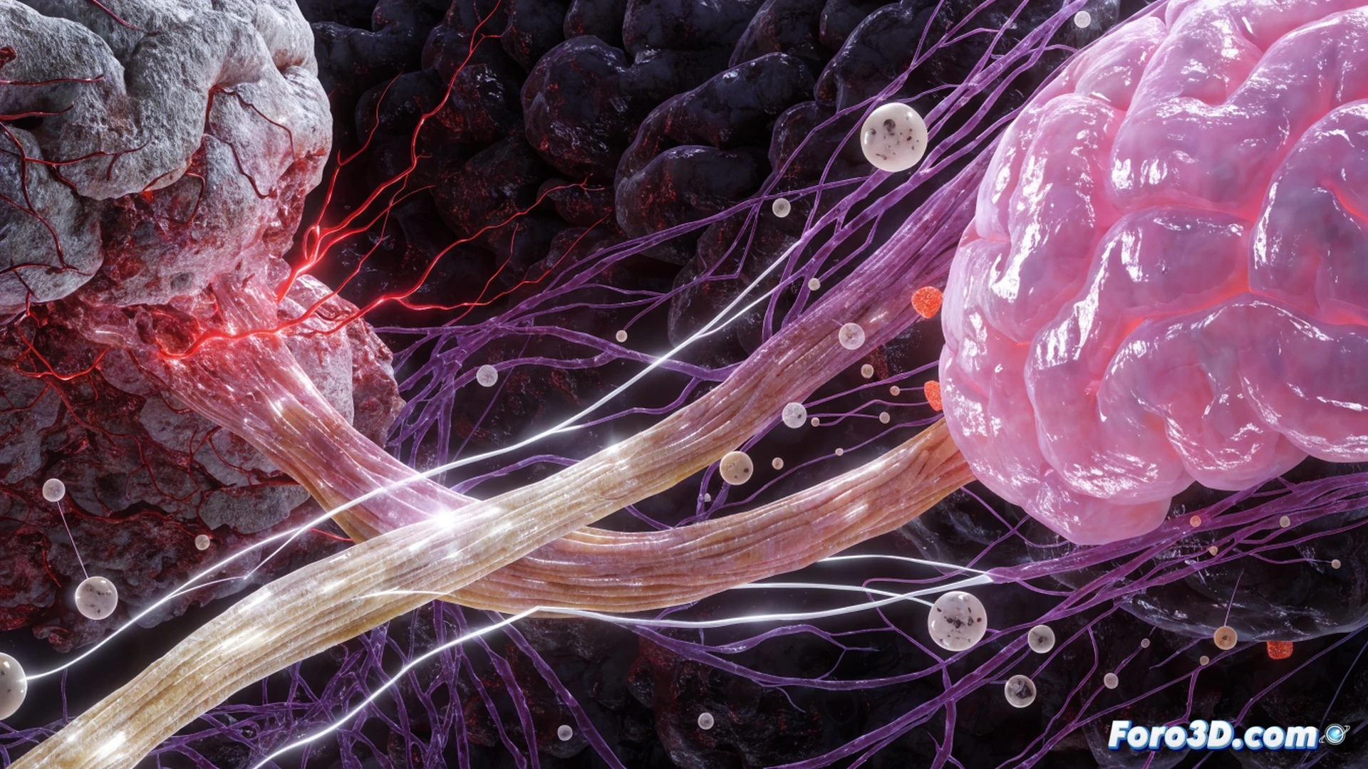 cross-section of a human brain during stroke recovery, glowing neural pathways regenerating from damaged tissue, a microscope slide showing synaptic reconnection process, laboratory pipette injecting fluorescent neurotrophic factors into a petri dish with cultured neurons, brain scan monitor displaying active neuroplasticity regions, technical illustration style, cool blue and warm orange lighting, high-contrast scientific visualization, detailed cellular structures with holographic overlays, photorealistic medical render