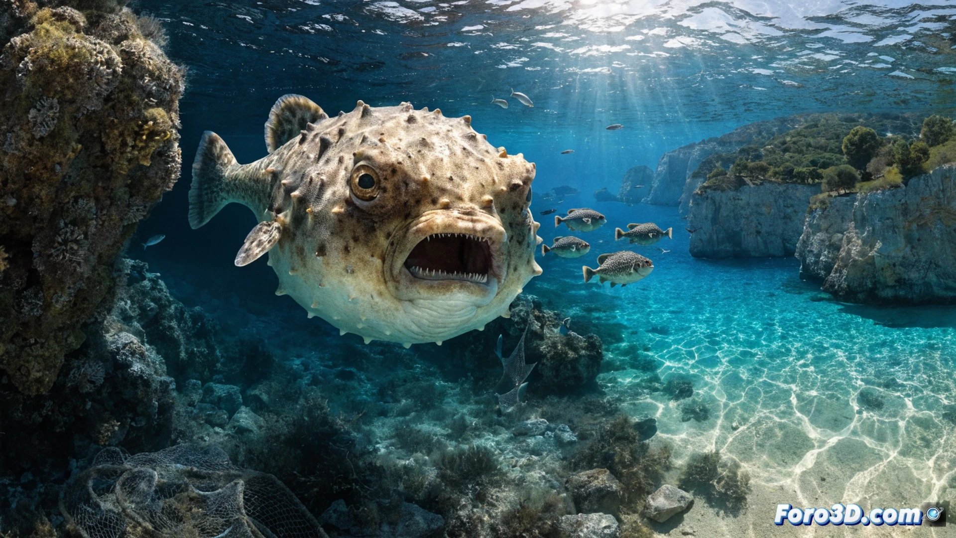 pejerrey globo hinchado en primer plano, mostrando espinas erizadas y mandíbula abierta lista para morder, mientras un pescador sostiene un trozo de red rota con dientes incrustados, fondo de mar Mediterráneo azul profundo con cardumen de peces autóctonos huyendo, estilo cinematográfico fotorrealista, iluminación dramática subacuática, texturas detalladas de escamas y piel tóxica, burbujas de aire ascendiendo, sensación de amenaza inminente, render técnico de biología marina