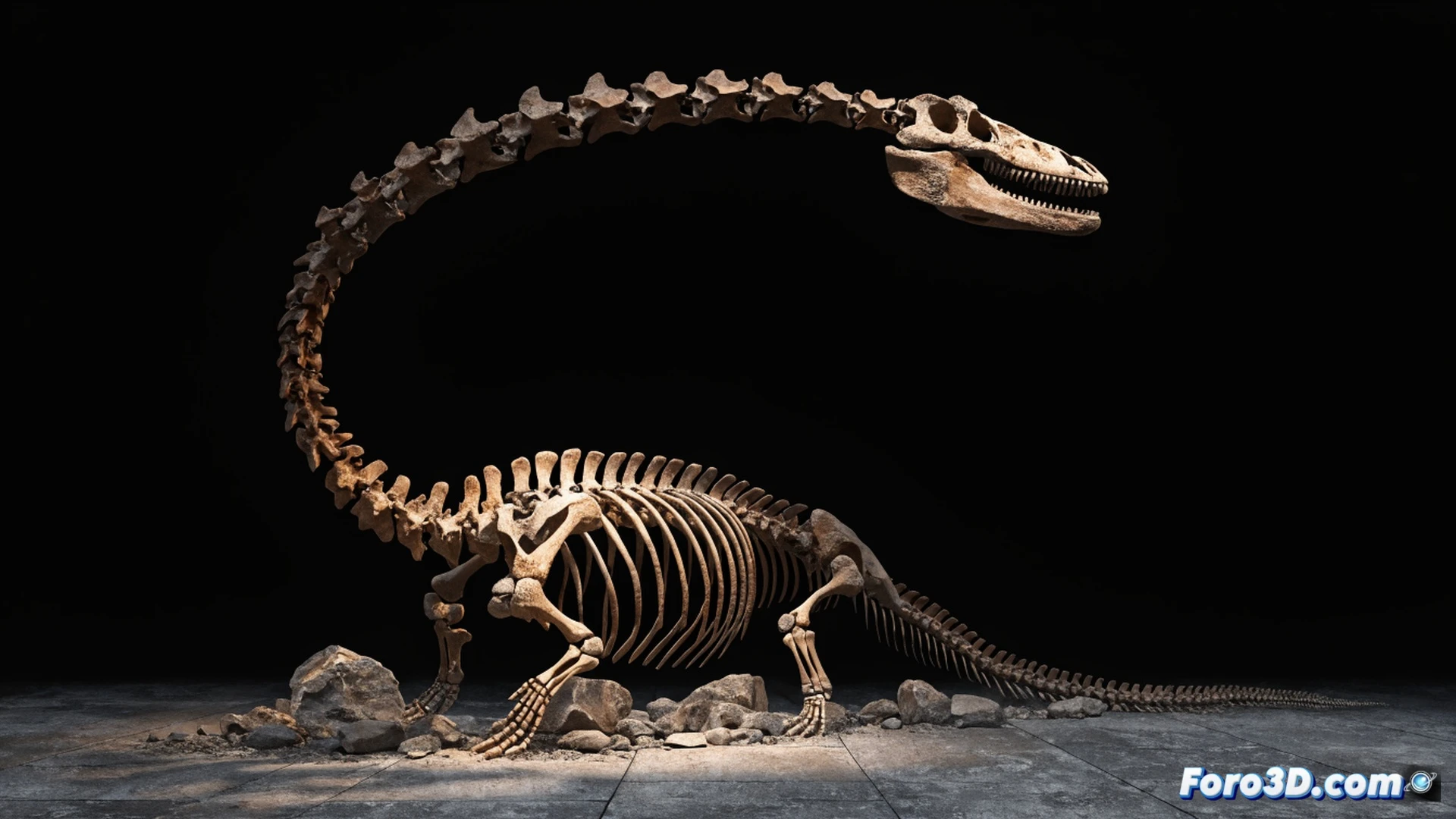 Un esqueleto de Elasmosaurus de 9 metros suspendido en una galería de subastas, sombras alargadas cruzando vértebras fosilizadas mientras un coleccionista con guantes blancos examina una vértebra cervical con lupa de joyero, al fondo vitrinas con martillos de geólogo y brochas de preparación, luz cálida de focos direccionales sobre el fósil, contraste con estanterías metálicas vacías de museo, estilo cinematográfico fotorrealista, textura calcárea detallada, atmósfera de transacción silenciosa, tensión entre ciencia y lujo, composición simétrica con profundidad de campo