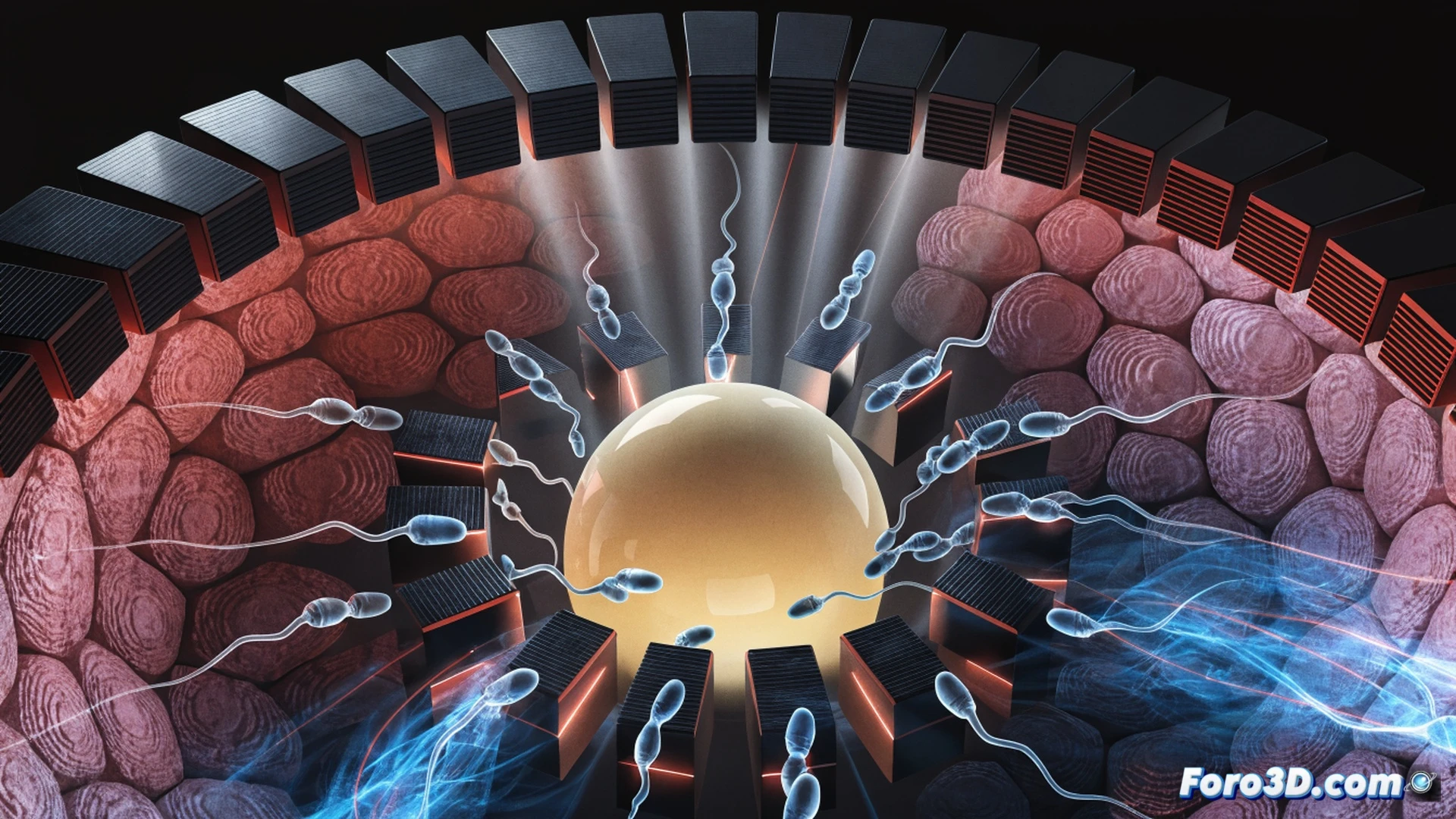 Microscopic sperm cells with magnetic nanoparticles attached to their tails being guided by an external rotating magnetic field toward a floating egg cell inside a translucent uterine environment, glowing blue electromagnetic coils visible outside the organic chamber, fluid motion trails showing sperm trajectories, soft warm biological lighting contrasting with cool magnetic energy, photorealistic medical visualization, ultra-detailed cellular structures, cinematic depth of field, scientific illustration style