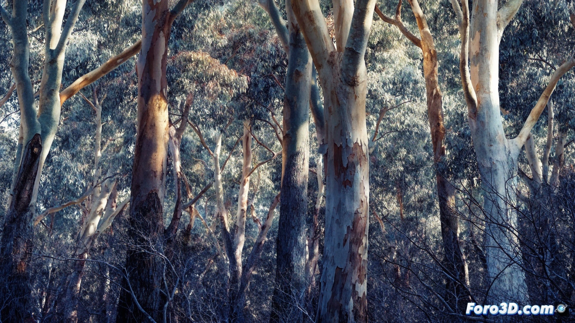 Arid eucalyptus plantation at midday, dry leaves covering barren ground, a single small bird flying away from the camera while a wooden saw blade rests on a cut stump, abandoned nest fallen on dry soil, contrasting with a distant patch of green native forest, cinematic photorealistic environmental visualization, harsh sunlight casting long shadows, dust particles in the air, ecological contrast between monoculture and biodiversity, ultra-detailed textures of bark and dry litter, dramatic documentary-style lighting