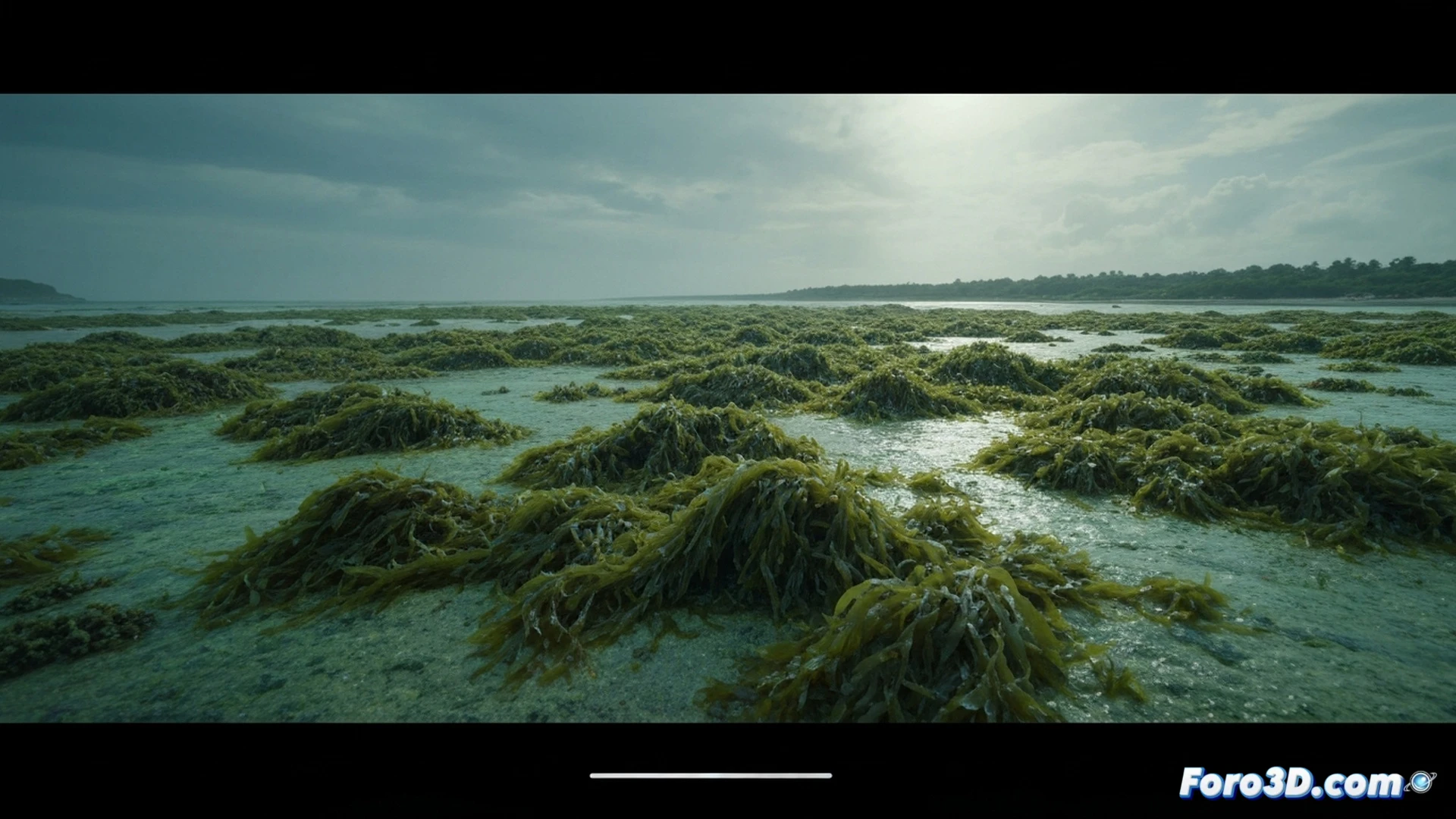 Massive green algae bloom choking a coastal bay, dead fish floating belly-up among thick green slime, decomposing organic matter creating dark anoxic patches, aerial drone perspective showing the sharp contrast between bright green algal mats and murky brown water, technical scientific illustration style, hyperrealistic texture of slimy algae surface, visible oxygen depletion zones as darker blue-green areas, scattered white seabird carcasses on the shore, industrial pollution pipes in the background leaking yellowish runoff, dramatic overcast lighting, high-contrast environmental documentation aesthetic, ultra-detailed water surface with foam and debris accumulation