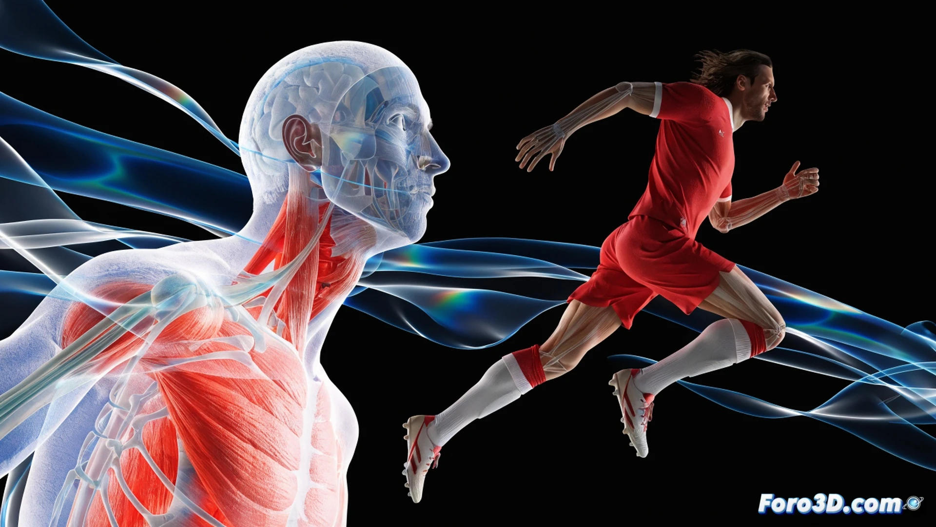 biomechanical 3D analysis of Fernando Torres explosive movement, football player mid-stride during a diagonal off-the-ball run, green pitch with tactical grid lines overlaying the field, blue motion capture dots tracking his leg joints and torso angle, red trajectory lines showing acceleration path and timing window, cinematic technical illustration style, dramatic stadium floodlights casting sharp shadows, photorealistic skin texture and kit fabric, dynamic pose with left arm extended for balance, right leg driving forward, blurred defenders in background, glowing biomechanical data visualizations floating around his silhouette, ultra-detailed muscle definition under kit, engineering visualization with precision