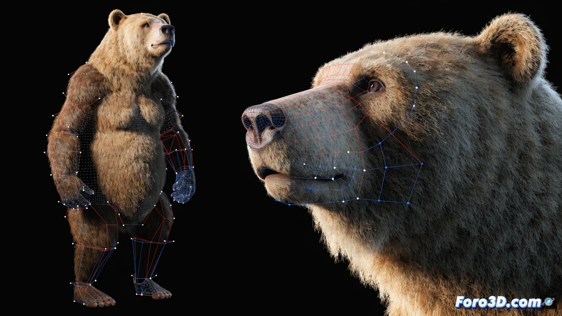 Technical illustration of a rigging interface in Maya, showing a fully articulated bear character with skeletal controls and deformation handles visible on its body and face. A user is clicking on the bear’s jaw control while a wireframe overlay highlights joint chains and IK handles. On the side monitor, the BEAR tool interface displays biped generation parameters. Photorealistic cinematic lighting, dark studio background with blue and orange accent lights, reflective desk surface, mechanical armatures and constraint lines glowing subtly, ultra-detailed fur simulation paused mid-groom, engineering visualization style.