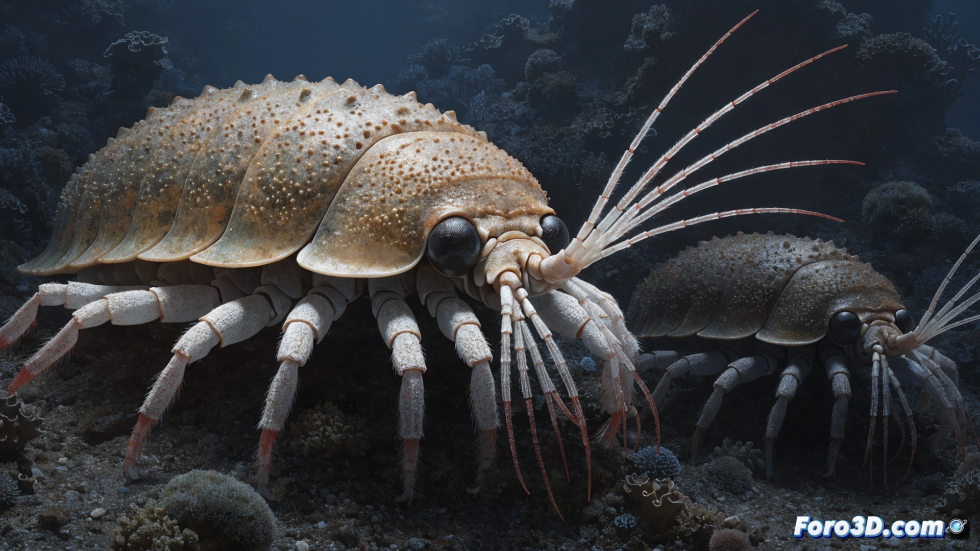 Deep-sea isopod with armored segmented exoskeleton floating above hydrothermal vent, bacterial gene transfer process visualized as glowing DNA strand merging into the isopod s gut cells, metabolic slowing shown by blue energy waves fading across its internal organs, extreme close-up of compound eyes reflecting ancient bacterial DNA sequences, dark abyssal environment with bioluminescent particles, cinematic scientific illustration, ultra-detailed chitin texture, dramatic underwater lighting from vent glow, photorealistic deep-sea biology visualization
