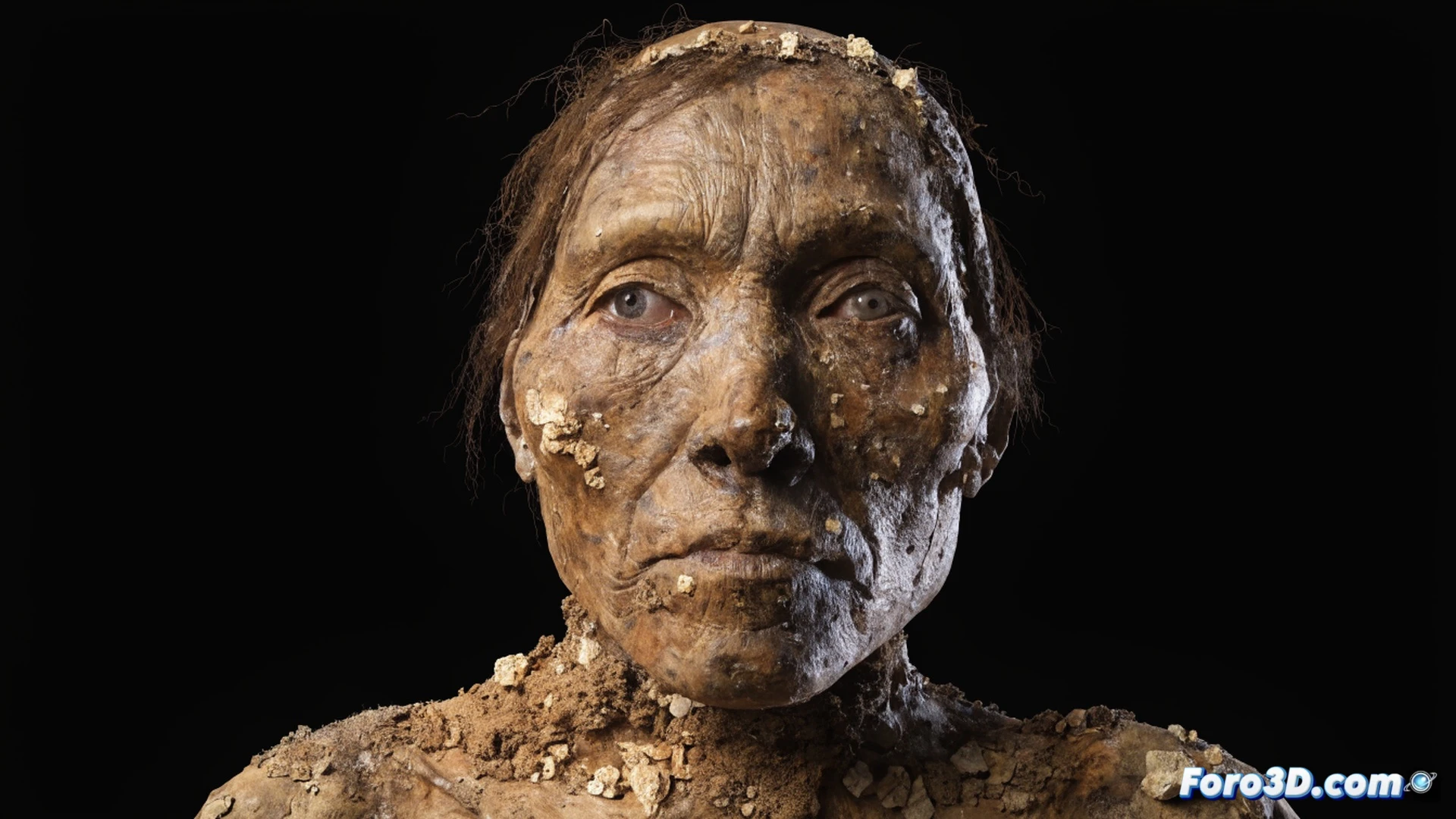 ancient human skeleton partially exposed in dry cave sediment, archaeologists in 1940s attire using hand brushes and trowels to excavate, woven tule mat fragments wrapped around the skull, facial reconstruction process shown on a monitor nearby, latex gloves and measuring tools on a portable table, 3D scanning equipment casting blue light onto the cranium, photorealistic technical illustration, warm amber cave lighting contrasting with cool digital scanner glow, dust particles floating in the beam of a work lamp, ultra-detailed bone texture and matting fibers, cinematic archaeological visualization