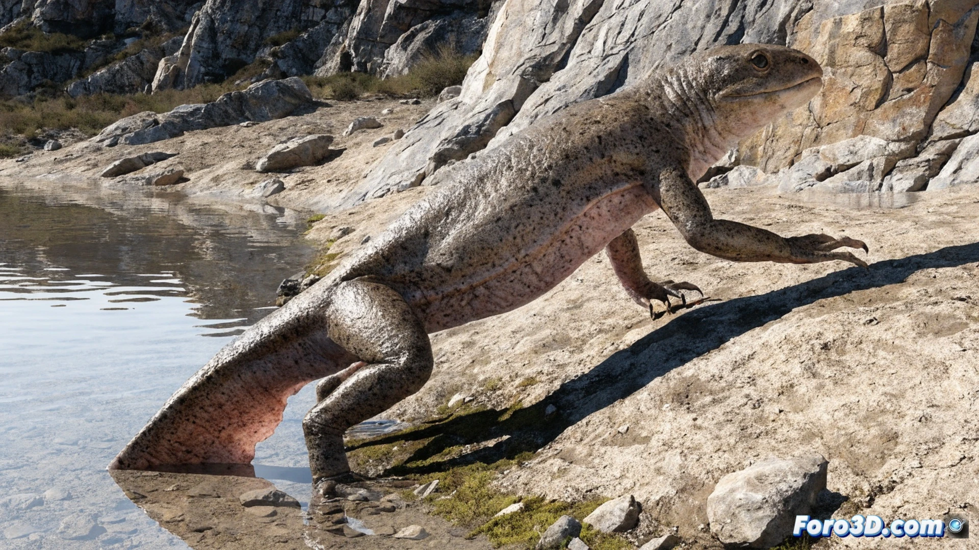 Prehistoric tetrapod emerging from shallow water onto muddy shore, robust limbs pressing into sediment, no external gills visible on juvenile forms nearby, adult specimen with fully developed lungs and ribcage, transitional skeleton half-submerged, fossilized footprints behind showing direct landward path, dramatic sunset lighting, cinematic paleoart style, ultra-detailed scales and skin texture, water droplets reflecting golden light, photorealistic scientific illustration