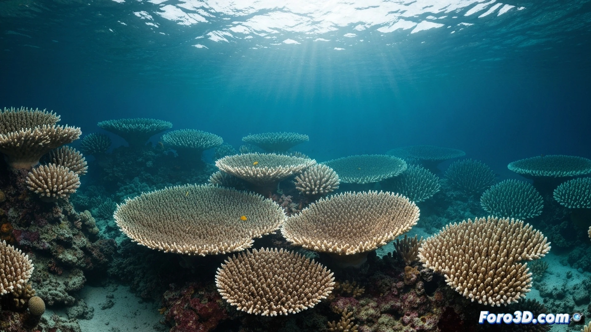 cinematic underwater scene showing coral reef absorbing a shower of cosmic dust particles, metallic and silicate minerals drifting down through sunlit ocean water, pH test strips changing color near coral branches, calcium carbonate crystal structures dissolving in real-time, glowing sediment trails highlighting chemical reaction zones, photorealistic marine visualization, dramatic blue-green lighting with suspended mineral particles, ultra-detailed coral textures and water caustics, technical illustration style