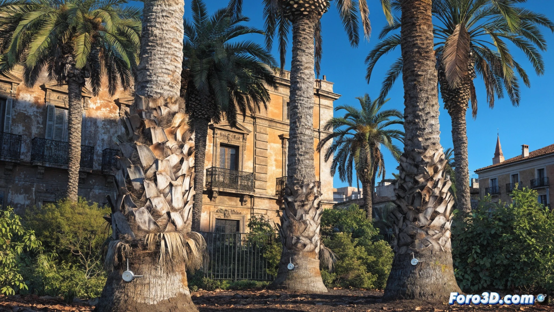 Técnico insertando un microchip en la base de una palmera de gran tamaño en el barrio de San Julián, Sevilla, durante un proceso de identificación vegetal, mostrando un lector RFID portátil escaneando el tronco, mientras una mano sostiene una jeringa de implantación con circuito integrado visible, con fondo de adoquines y fachadas andaluzas, estilo fotorealista de ilustración técnica, luz solar intensa de mediodía, sombras nítidas, textura rugosa de corteza, detalles metálicos del hardware, profundidad de campo cinematográfica