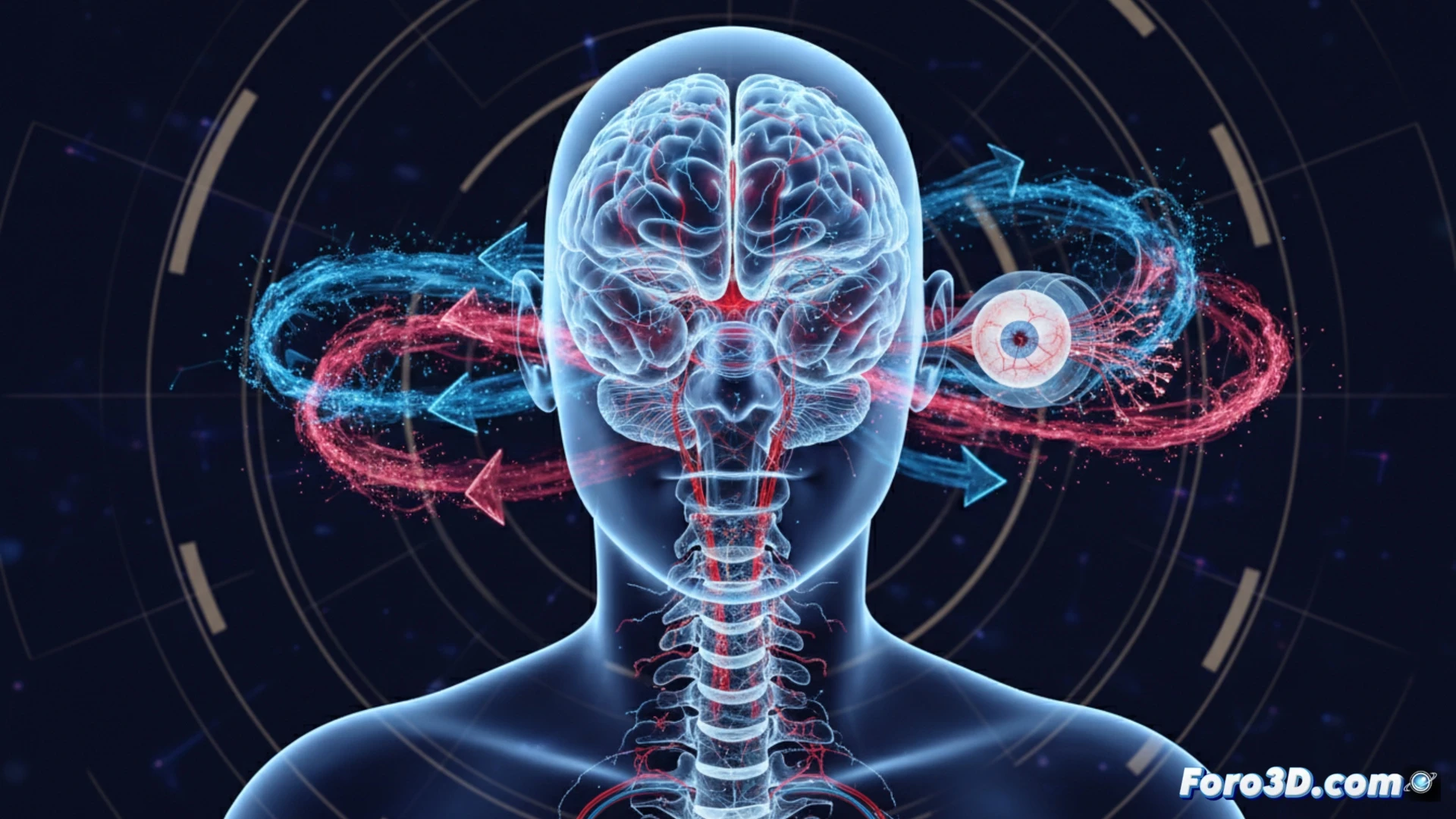 Simulación 3D de fuerzas biomecánicas en traumatismo por sacudida infantil mostrando daño cerebral y retiniano