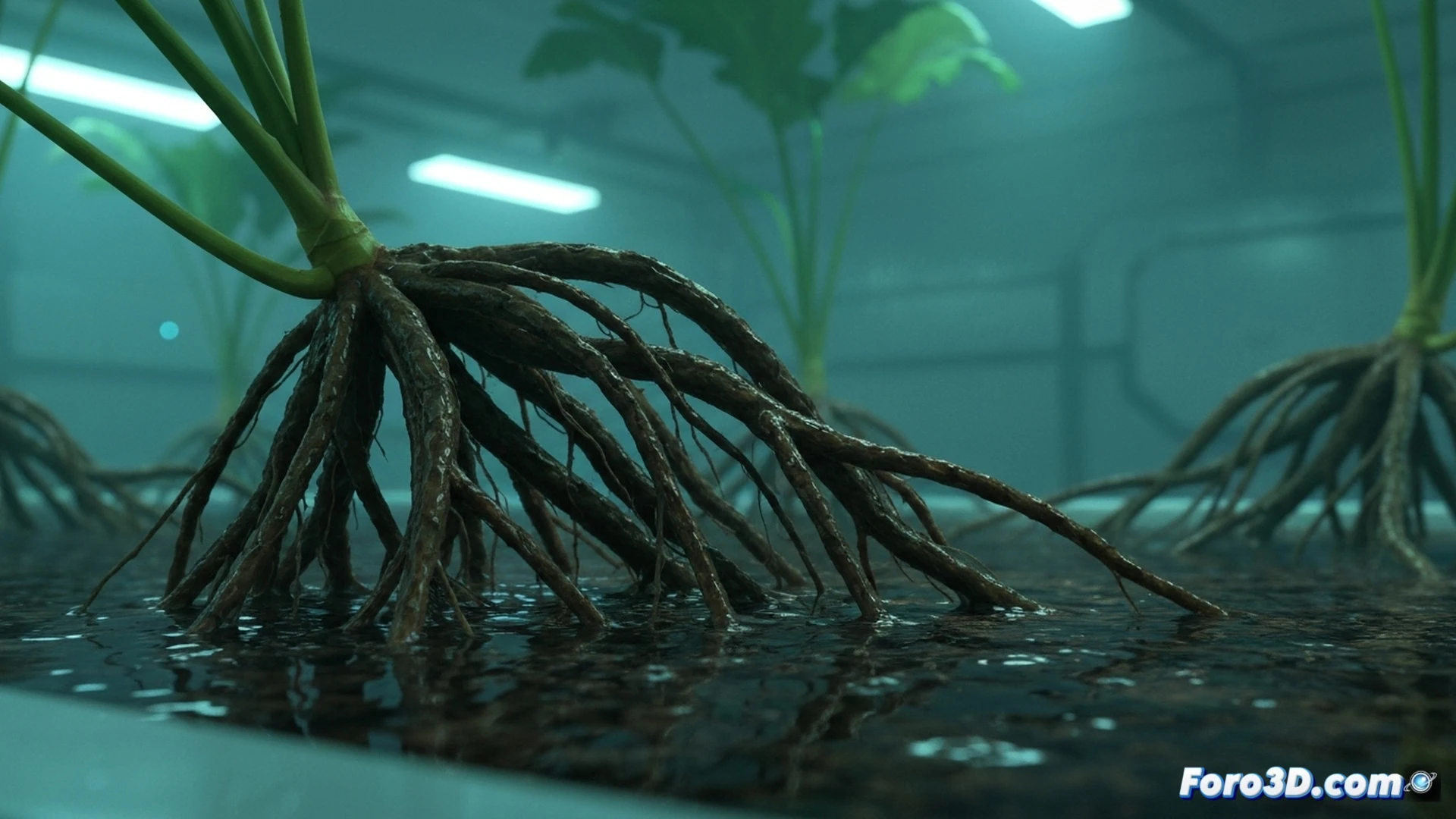 hydroponic root occlusion scene, a transparent nutrient reservoir with white healthy roots transitioning into brown slimy mass at the center, air stone pump disconnected on the left, dissolved oxygen meter showing low reading, biofilm and root rot spreading from the middle, stagnant nutrient solution surface with no bubbles, technical engineering visualization, cross-section view of root chamber, cinematic lighting from above highlighting the contrast between healthy and damaged roots, photorealistic render, macro detail of root tissue degradation, warning indicators on monitoring screen in background